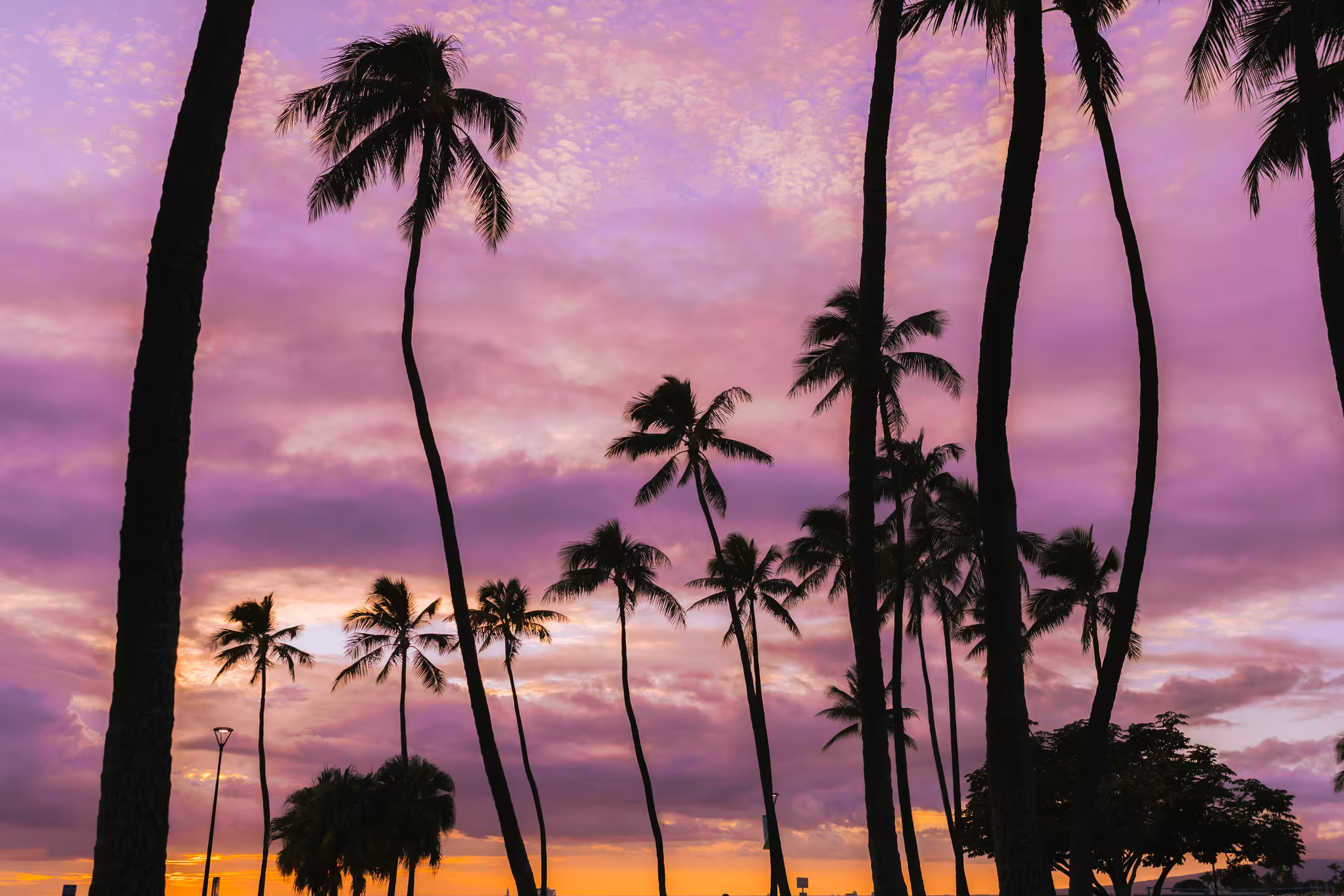 Hawaiian Sunset