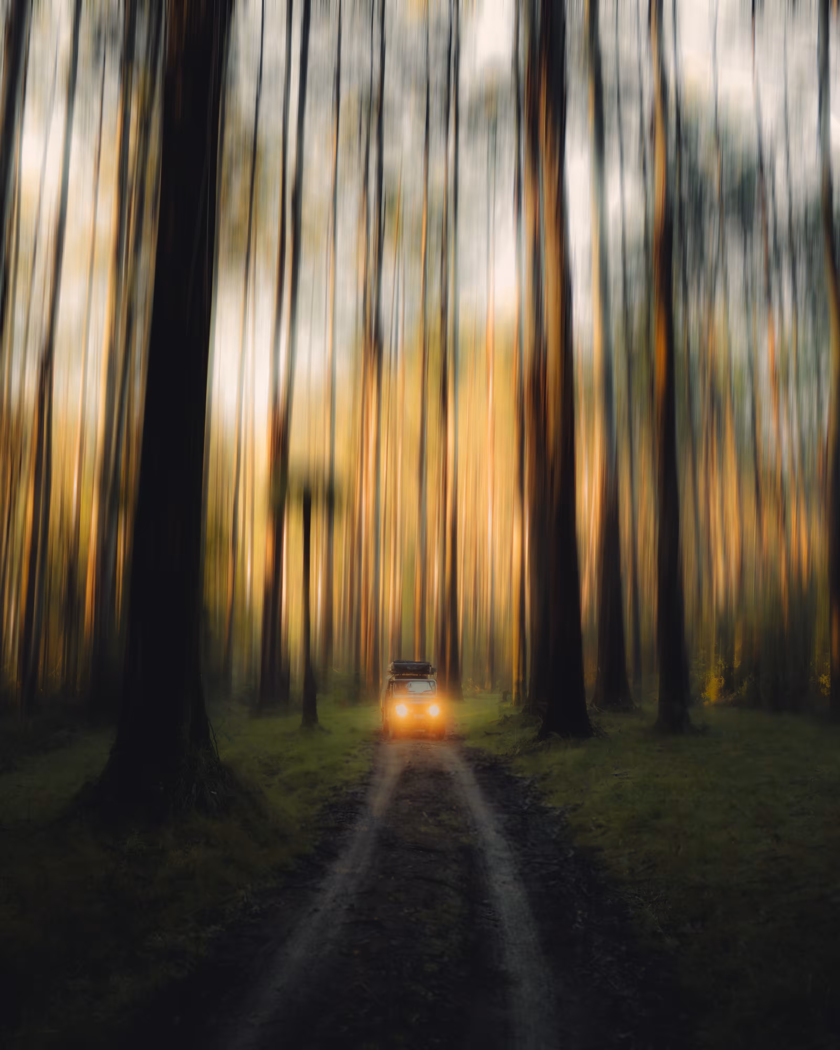 “Journey of Colour” #23