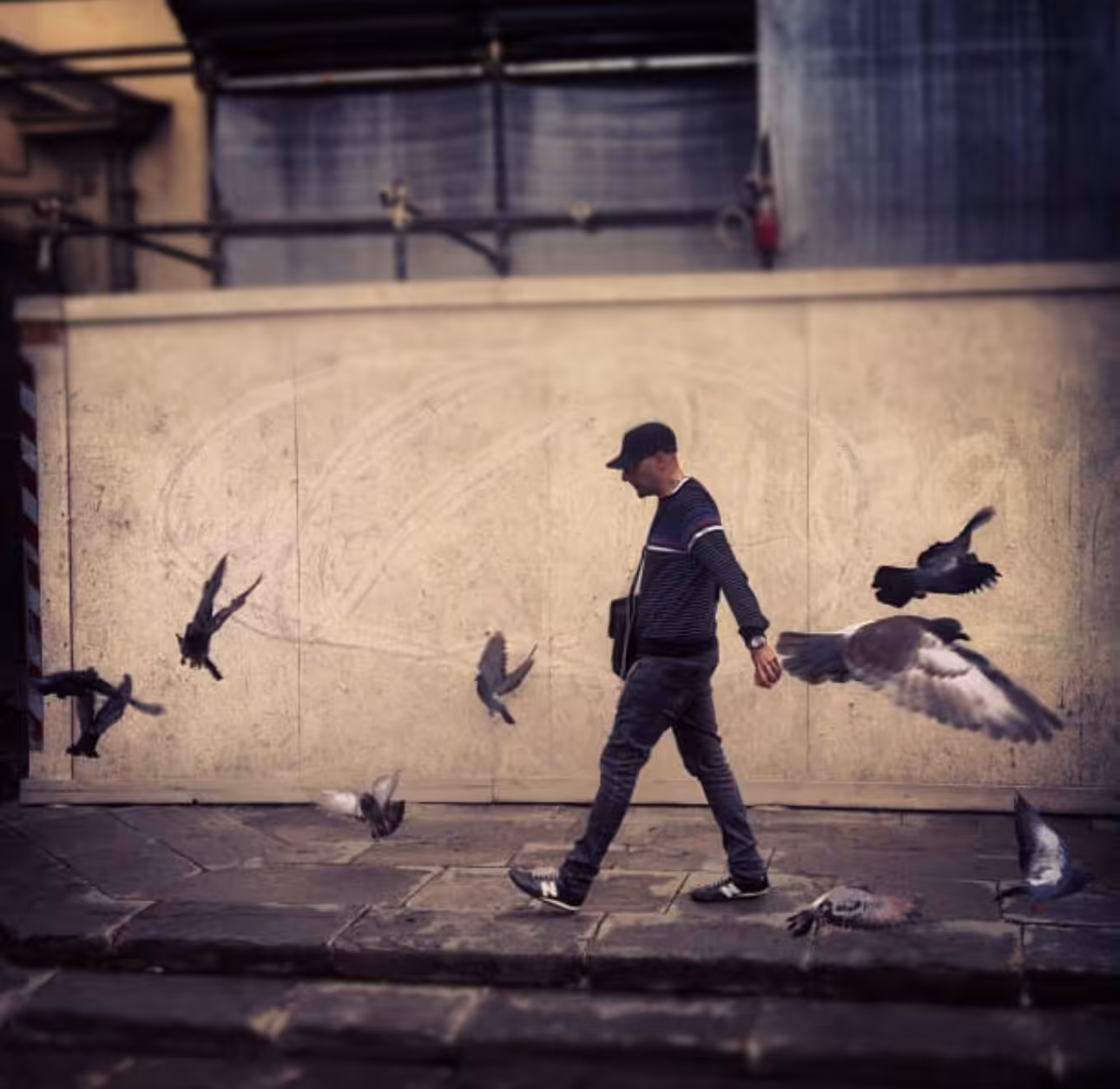 Solitary Steps and Feathered Companions