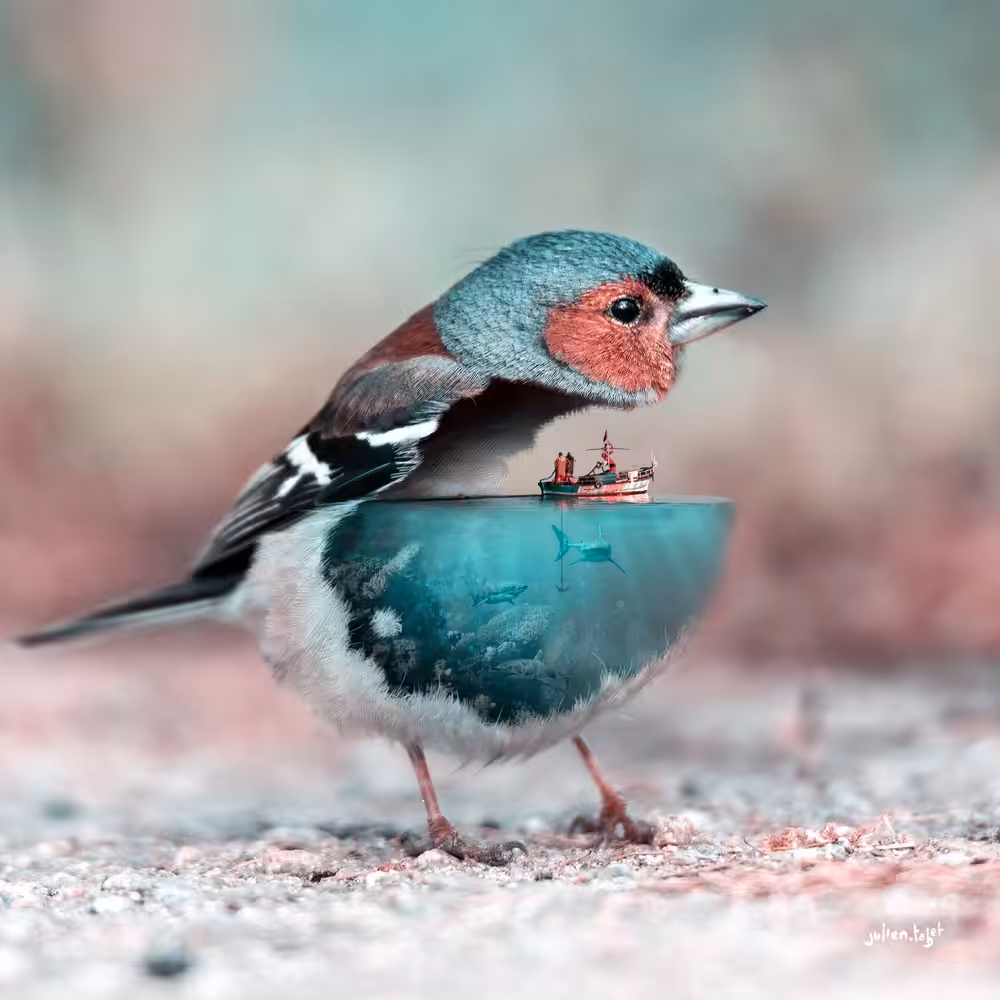 Aquanimal - Birdy