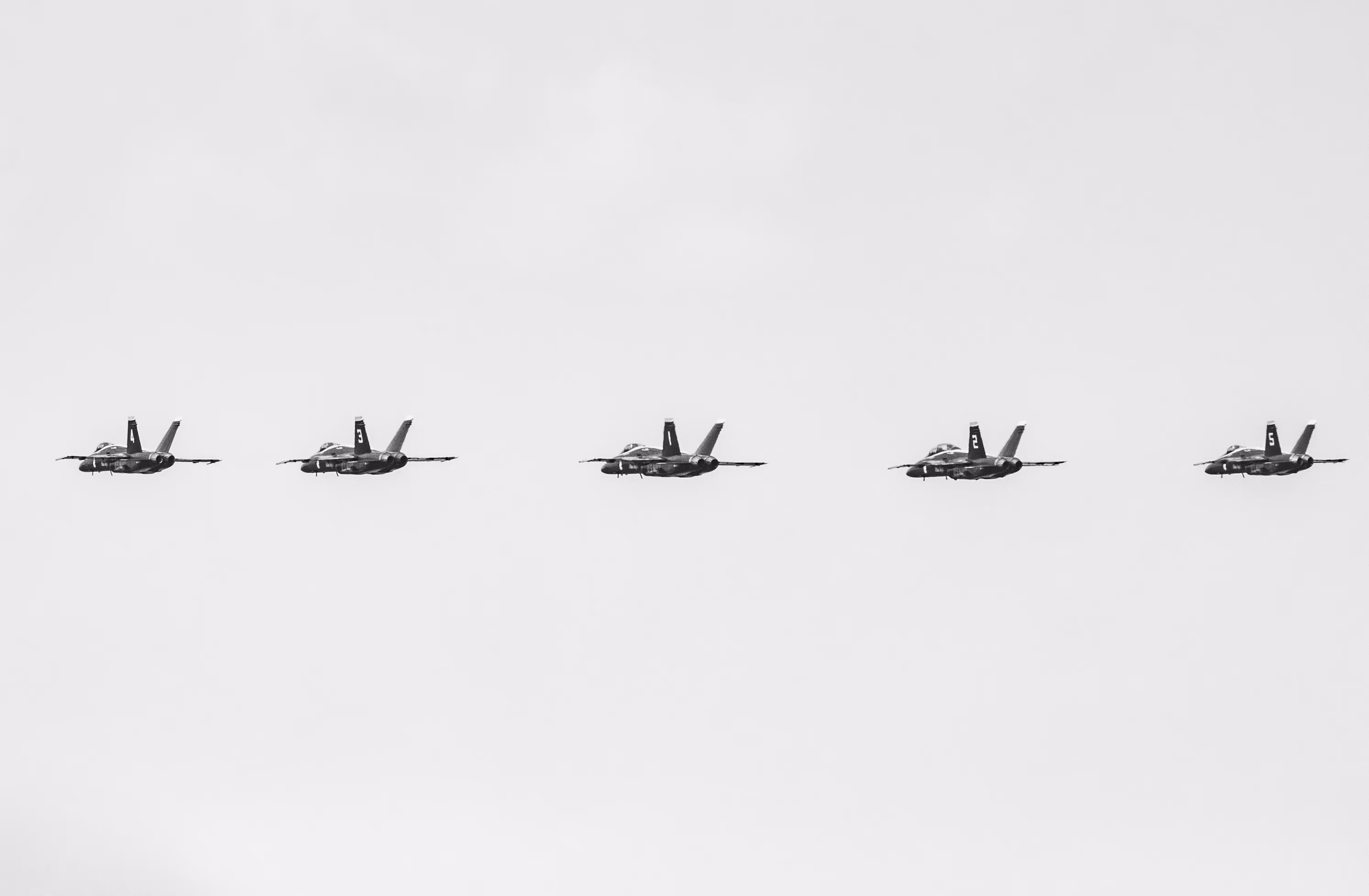FLY: Fly