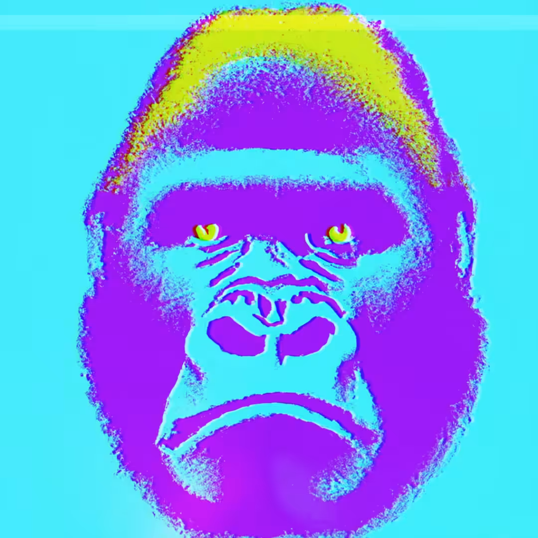 GORILLA - SA#012