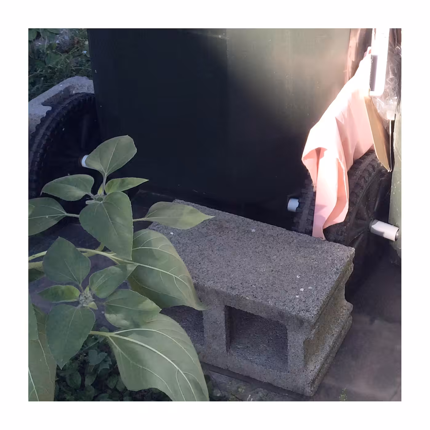 Still Life with Plant, Cinder Block, and Scrap Cloth