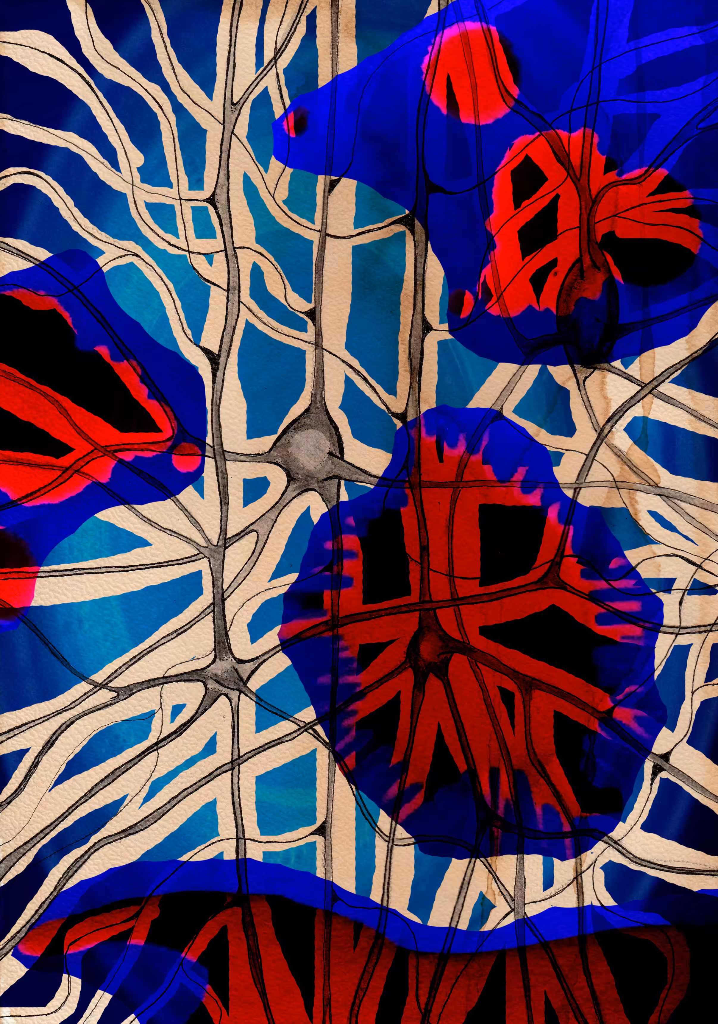 "Nerve pattern"