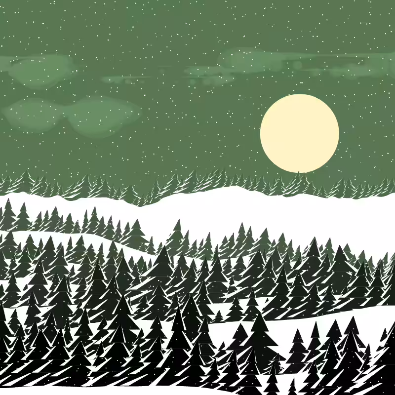 Winterland #36