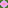 Flower Love, Yes or Not