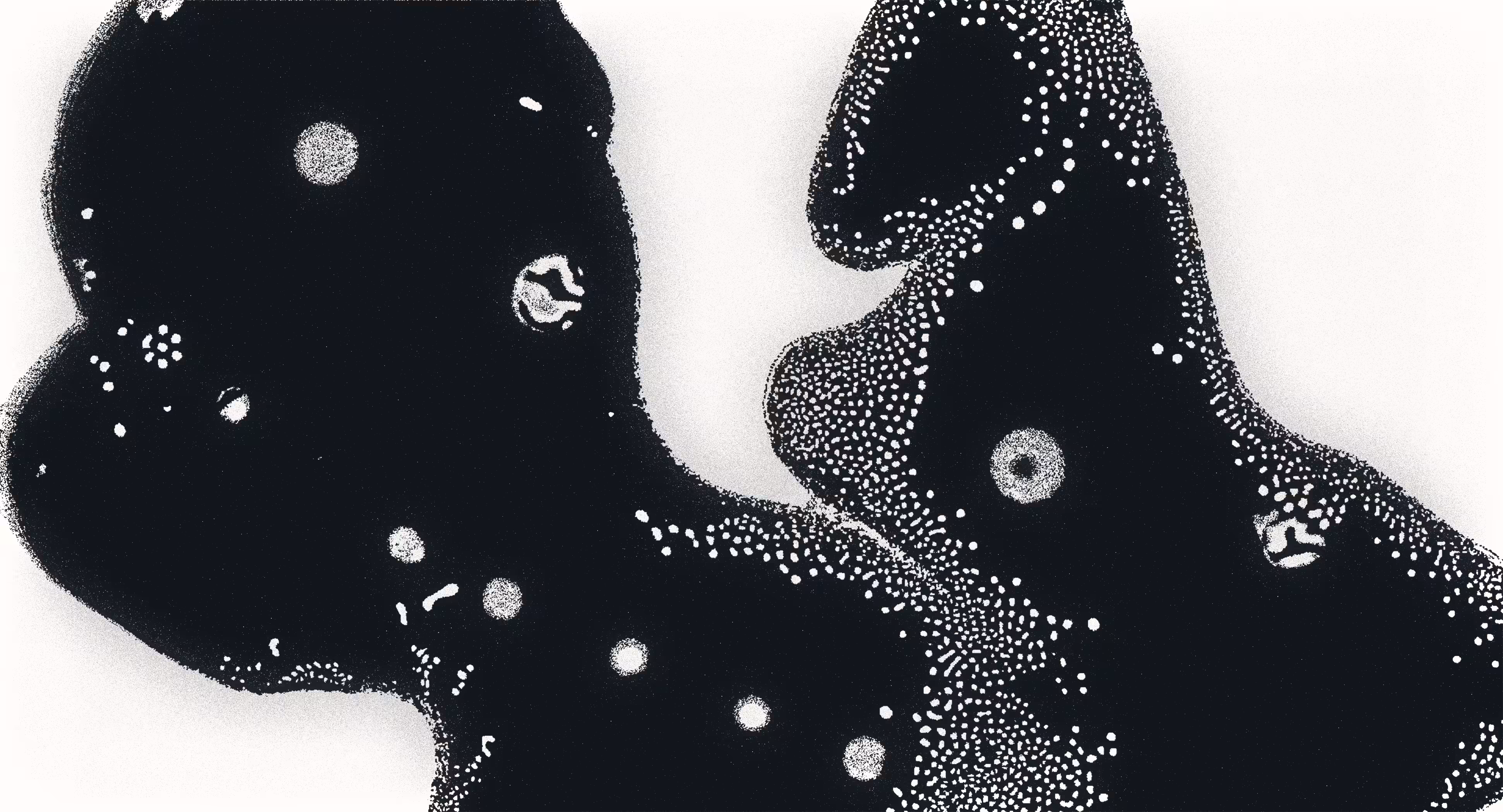 Water Studies #27