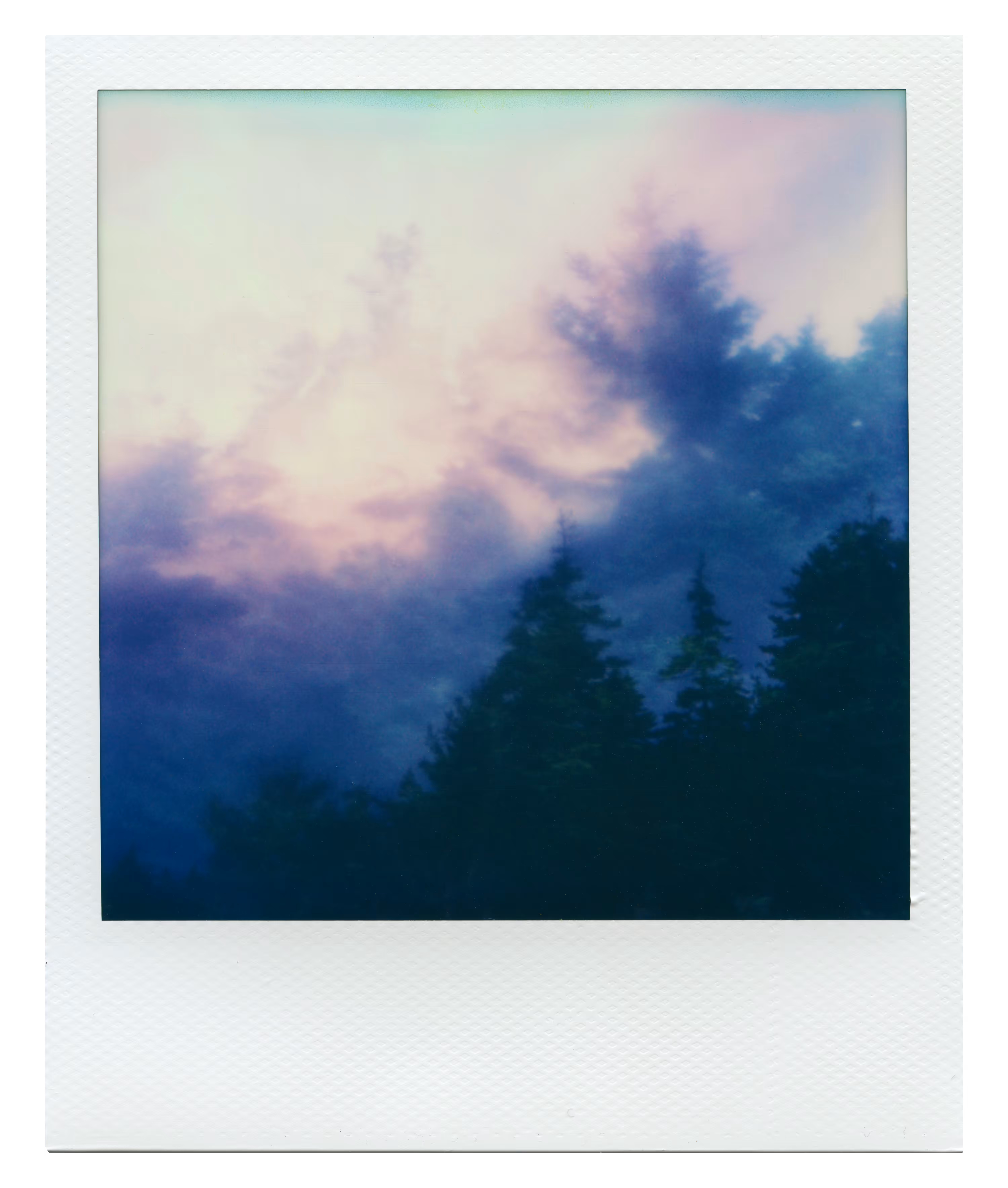 Endless Summer  |  50  | Manifestation
