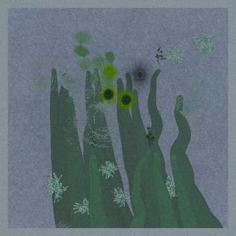 Sea Anemone #78