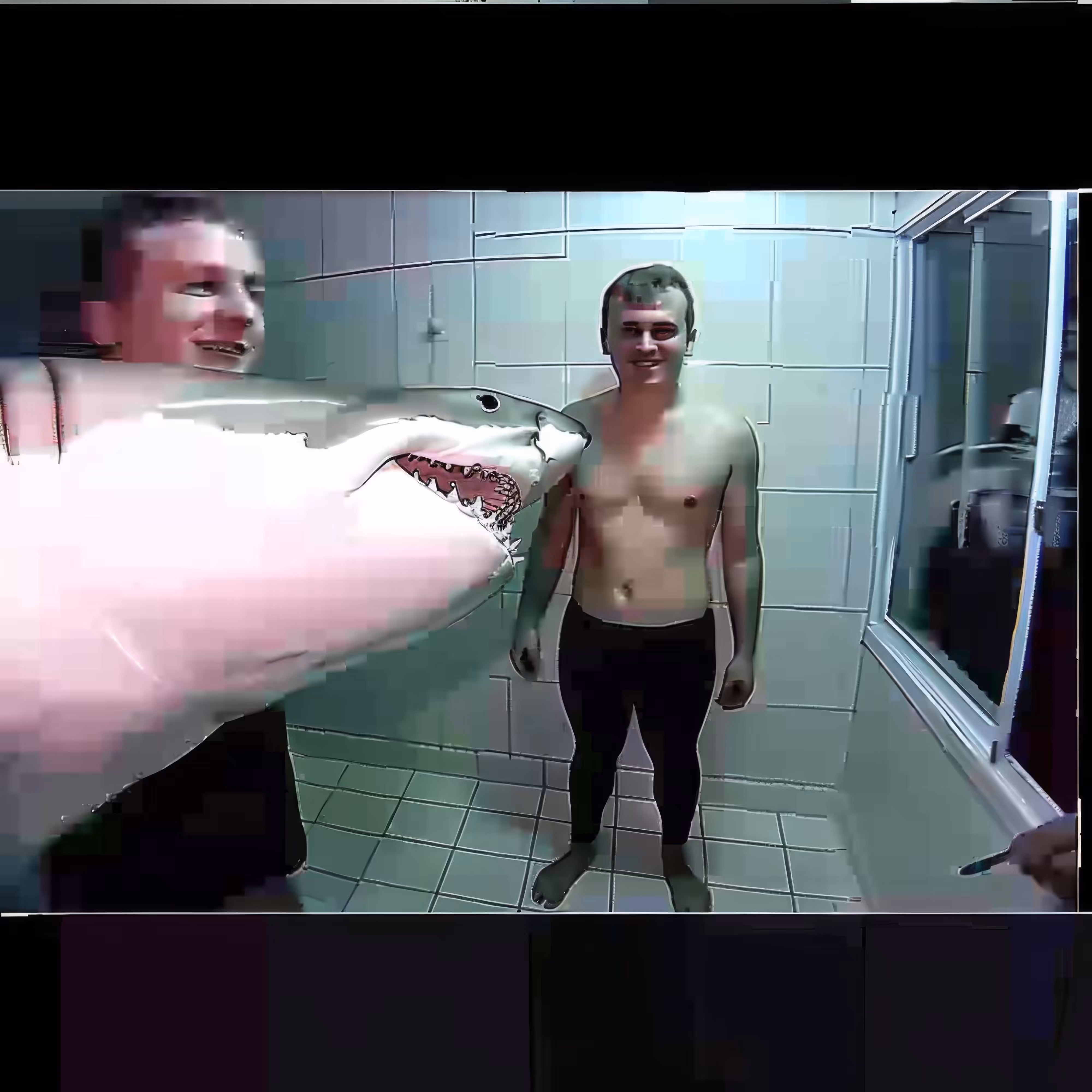 BAD JPEGs: Shower-Room-Shark