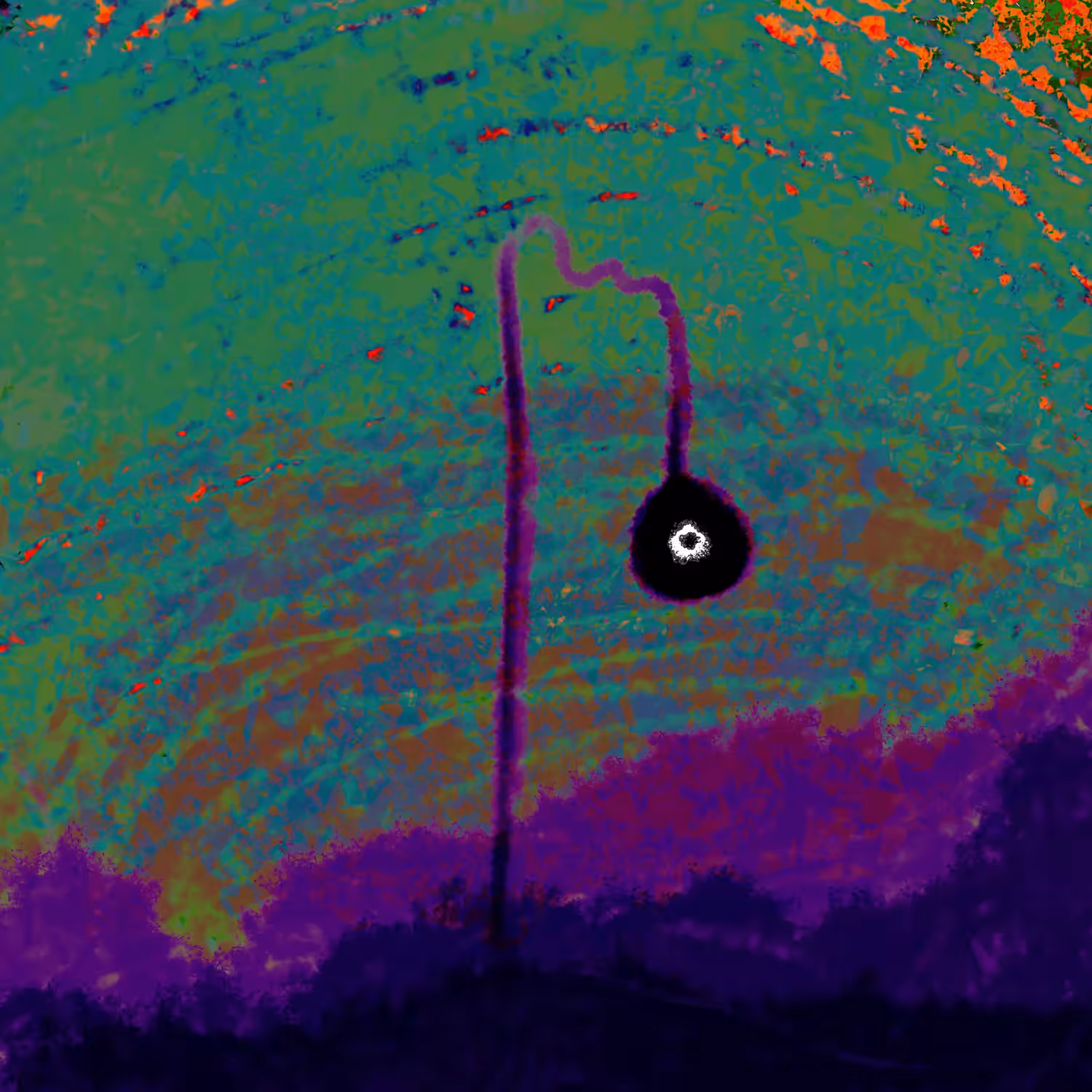 weird4
