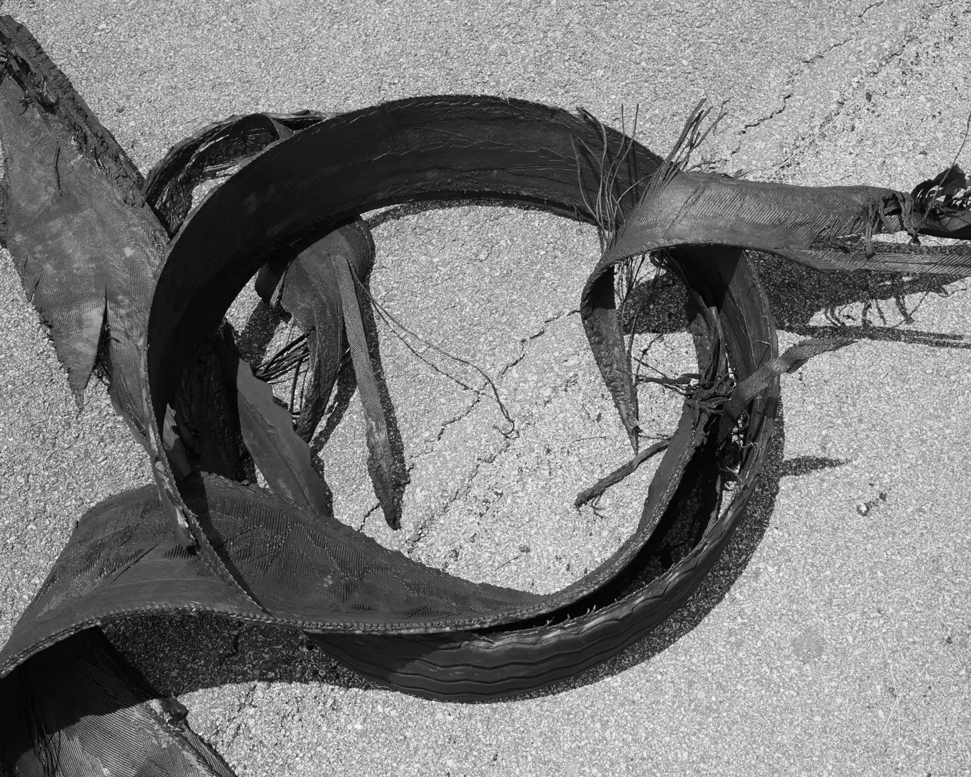 One Sun, One Shadow #59 (Triptych, II)
