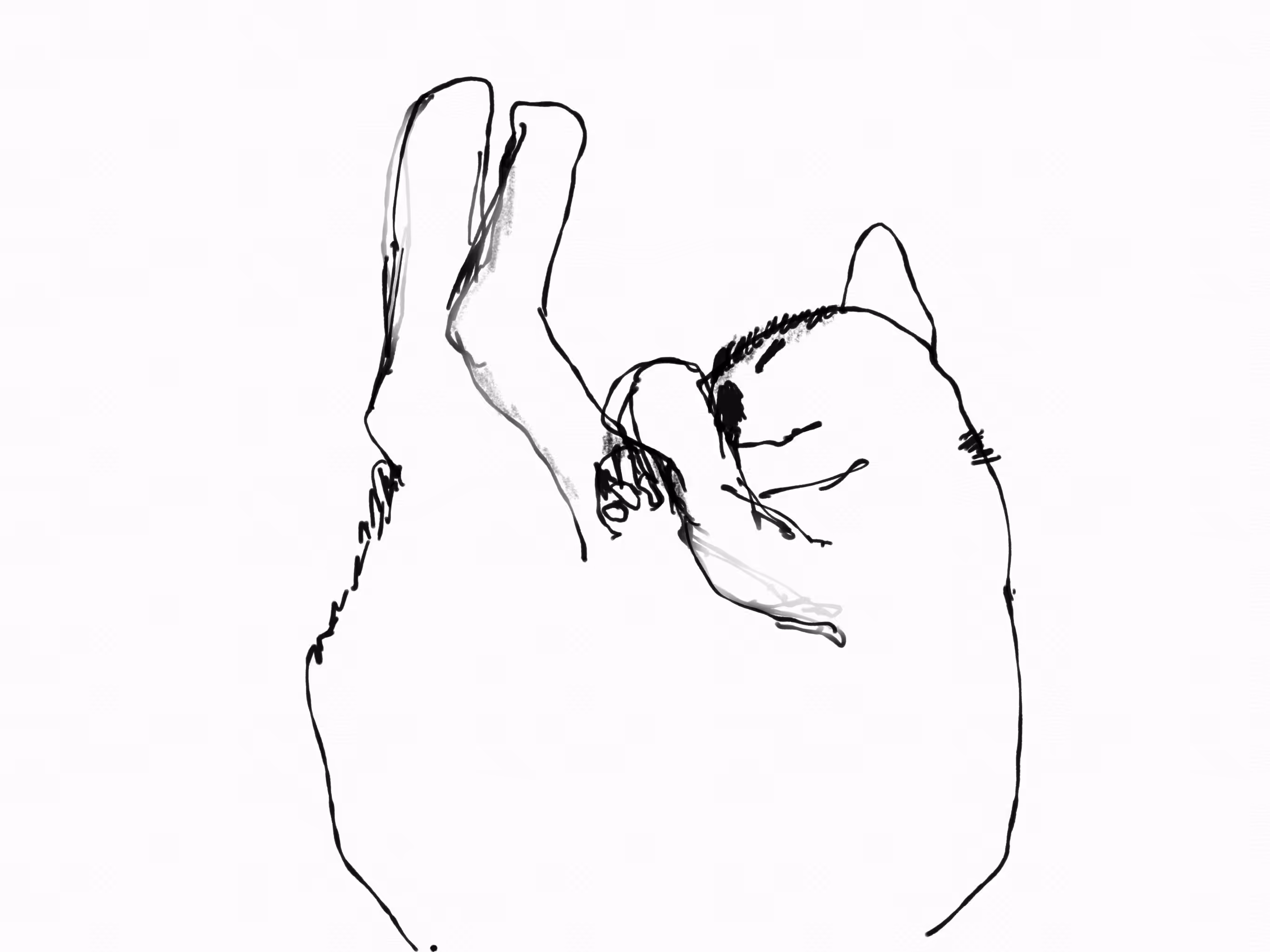 sleep
