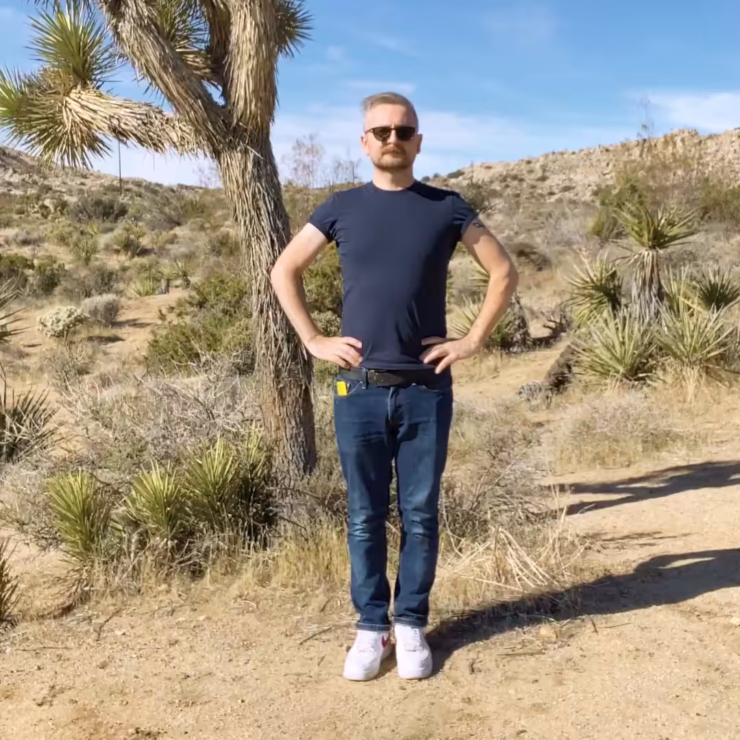 Infinite VFX loop in Joshua Tree from PQ