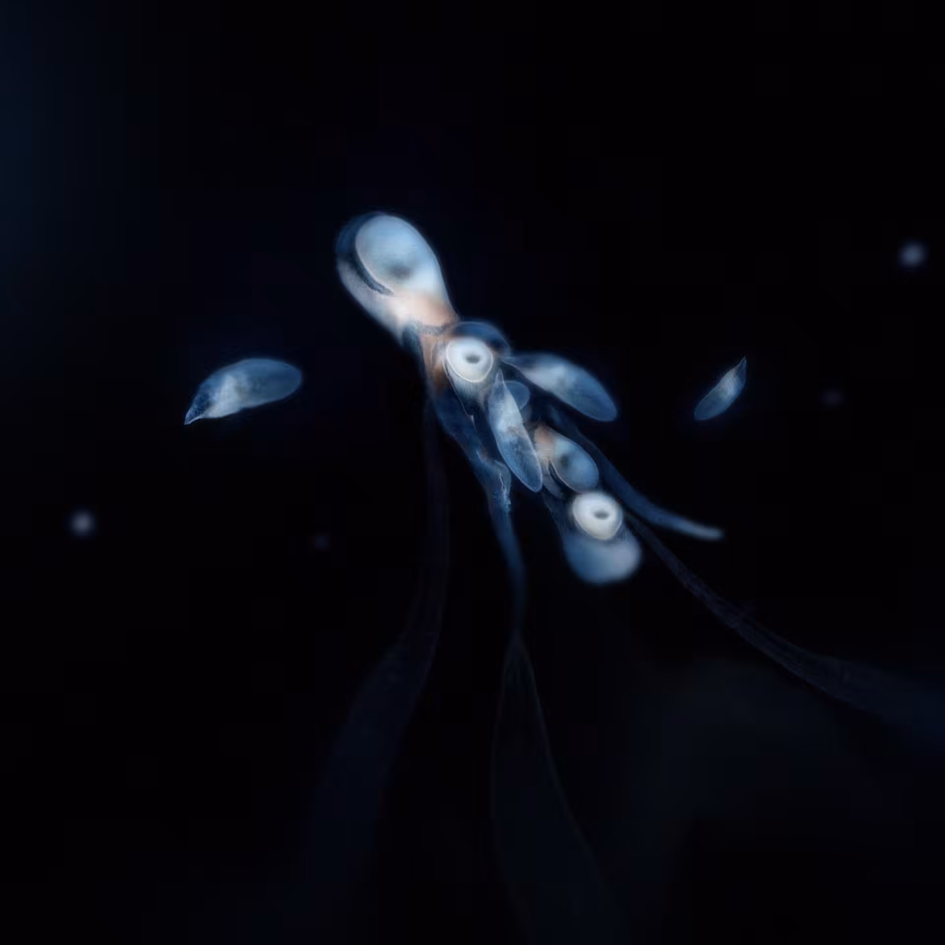 Sperma 08