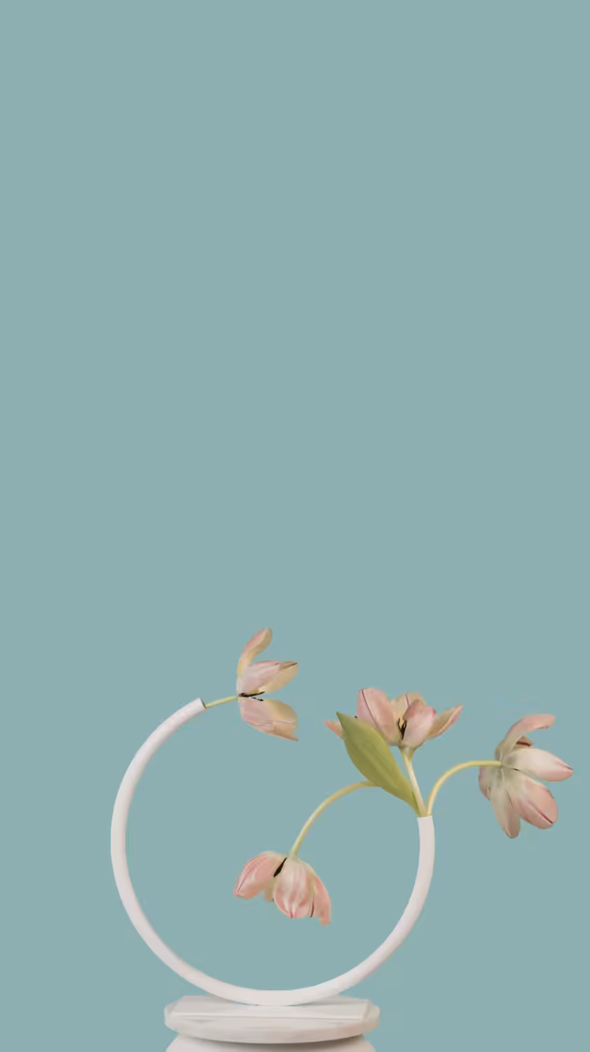Tulip, in motion