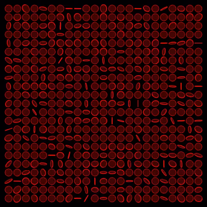 DoodleDeProgramming_20220815