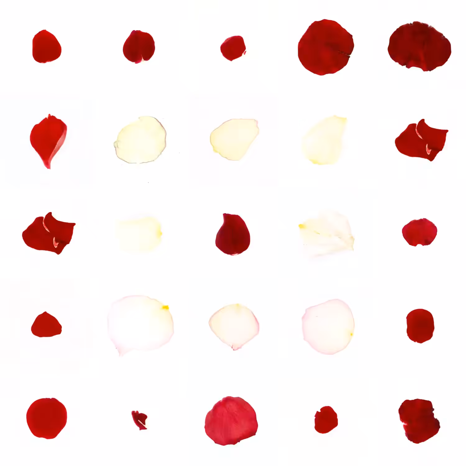 Infinite Petals 5x5#20011