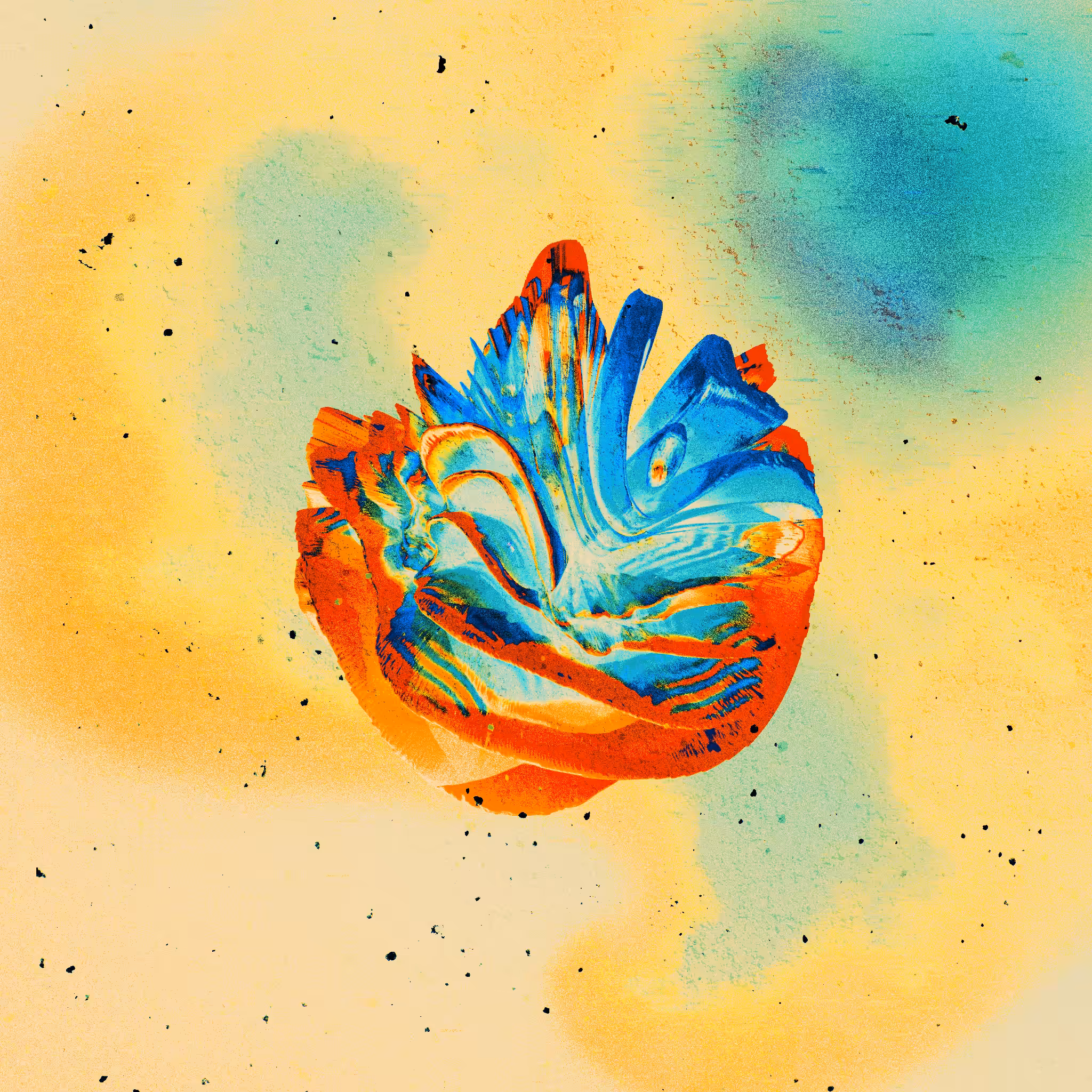 The Orange Coral Heart