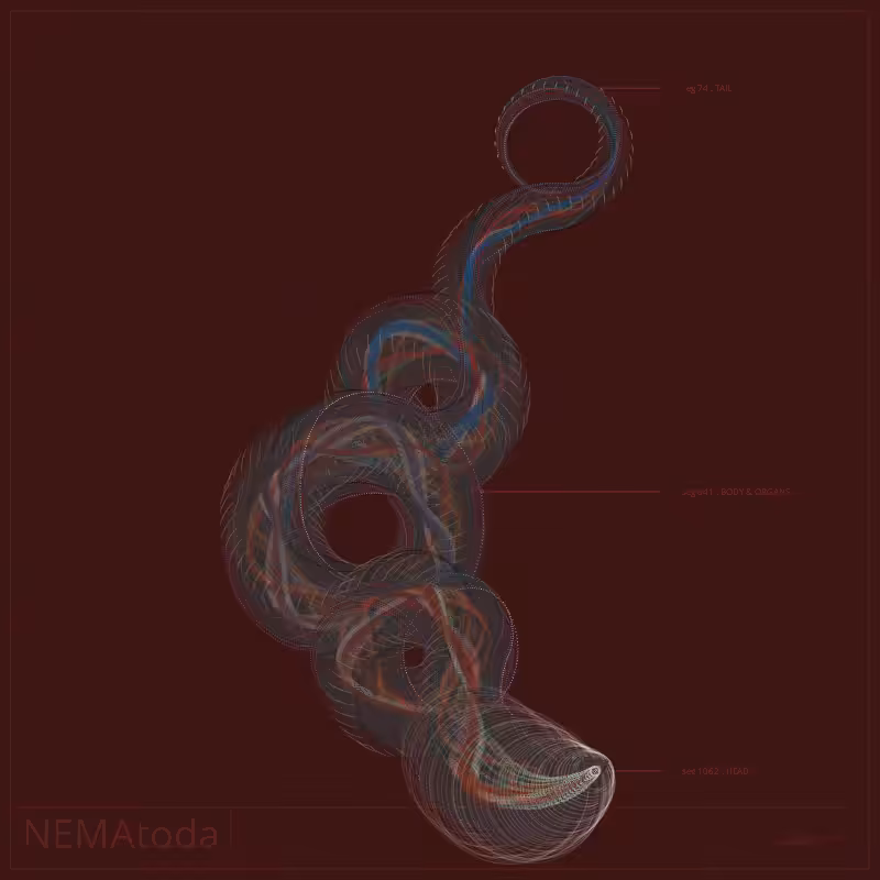 NEMA #3