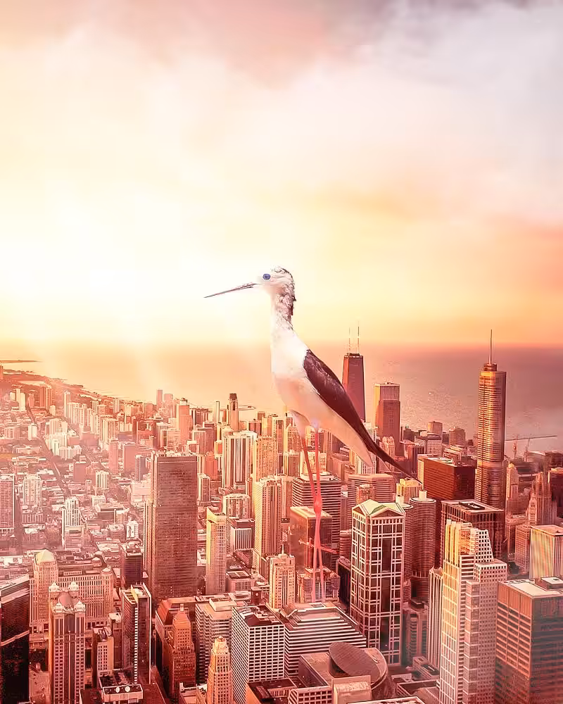 Fantasy Manipulation #3