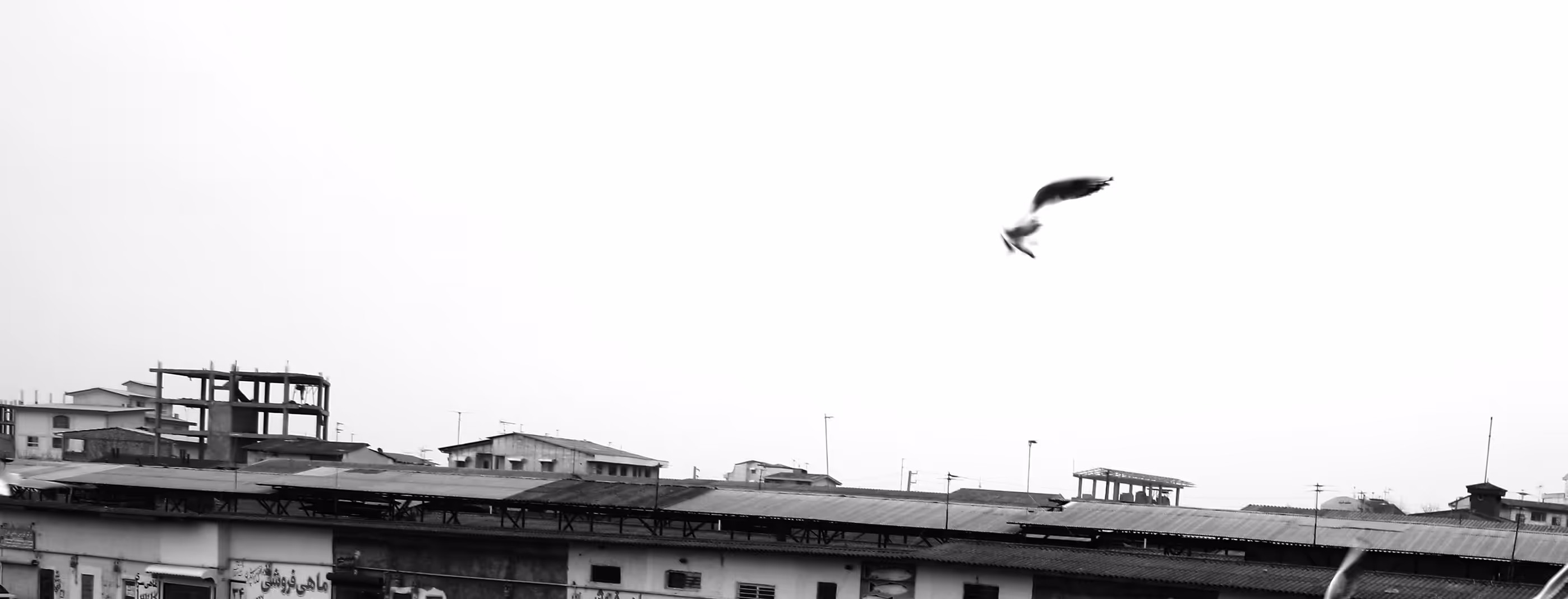 RemembeR HoW TO FlY