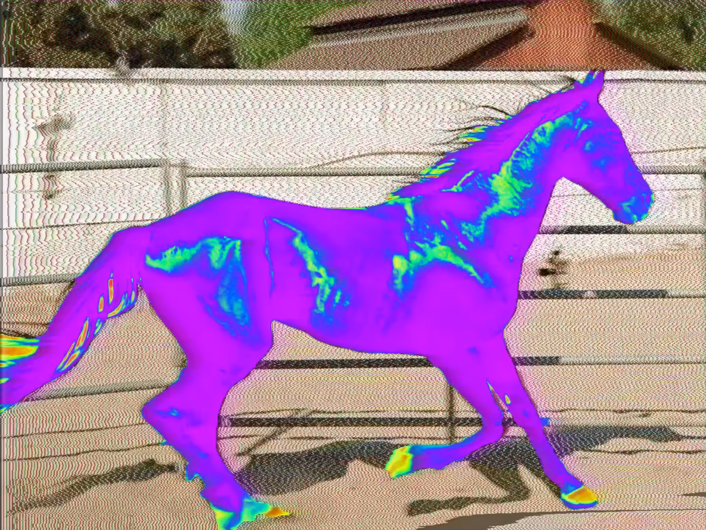 ECHOS OF EQUINE