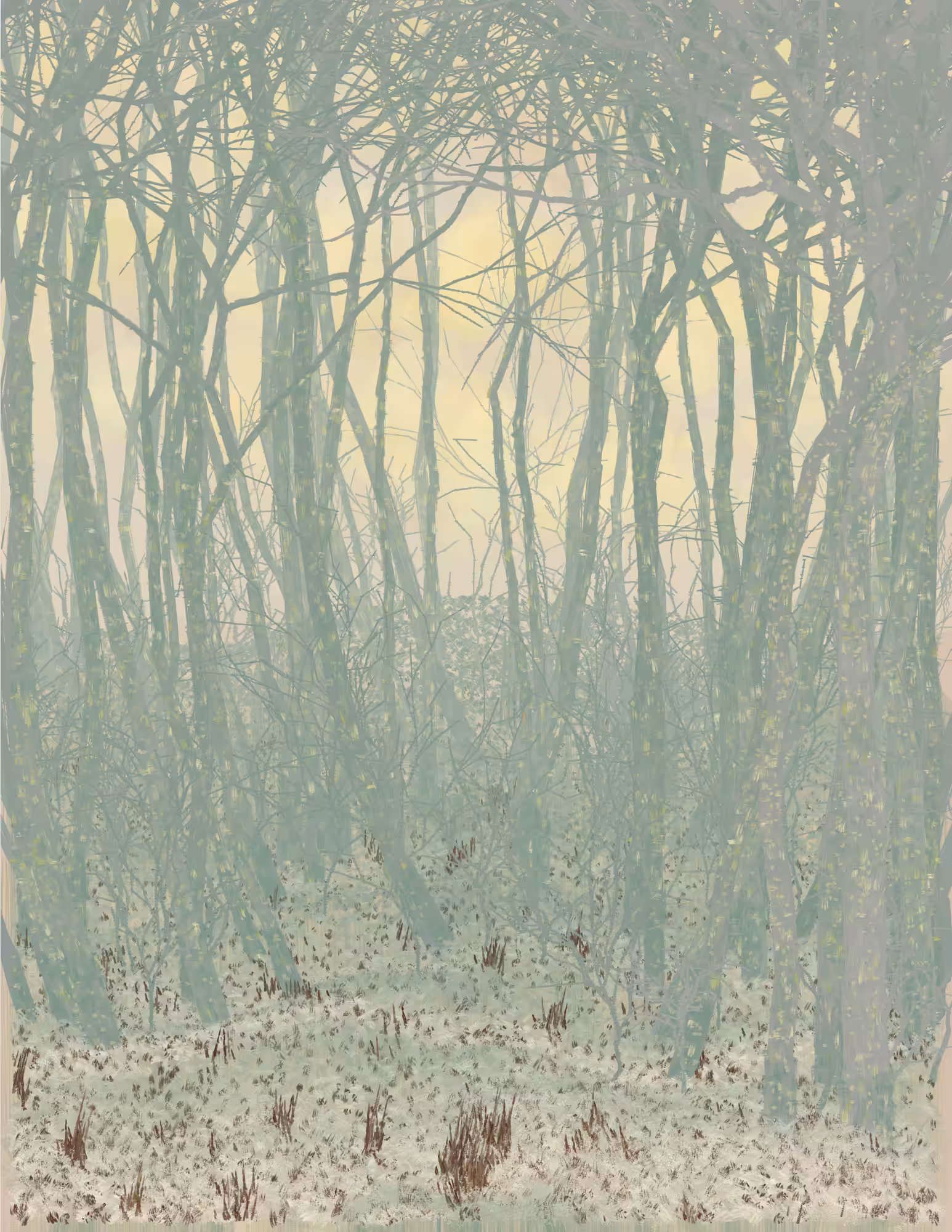 Deep Forest #174