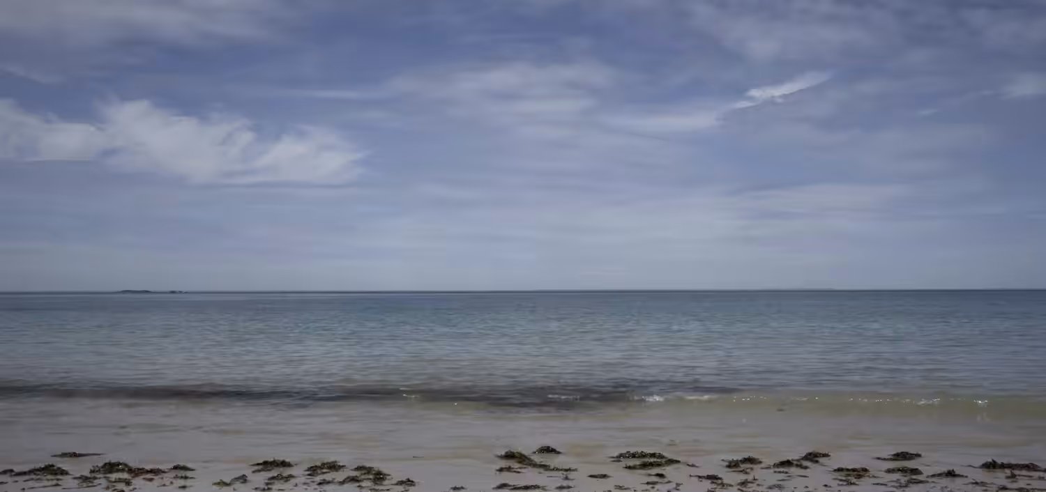"Into the Water" (DG Visions) 