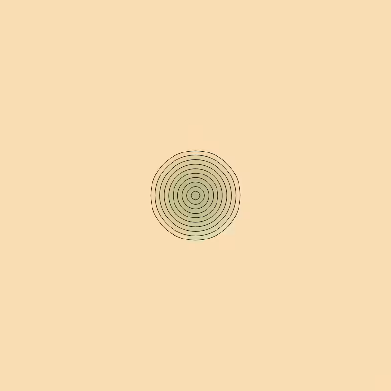 Life Rings VOL.1 #27