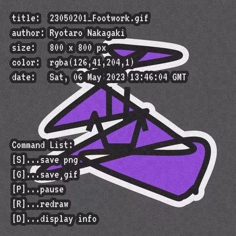 23050201_Footwork.gif #1