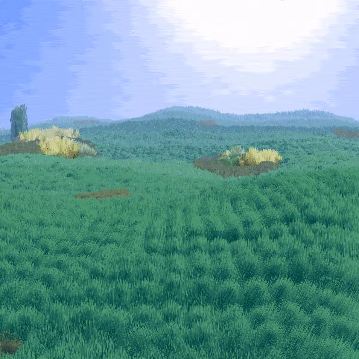 Provence #294