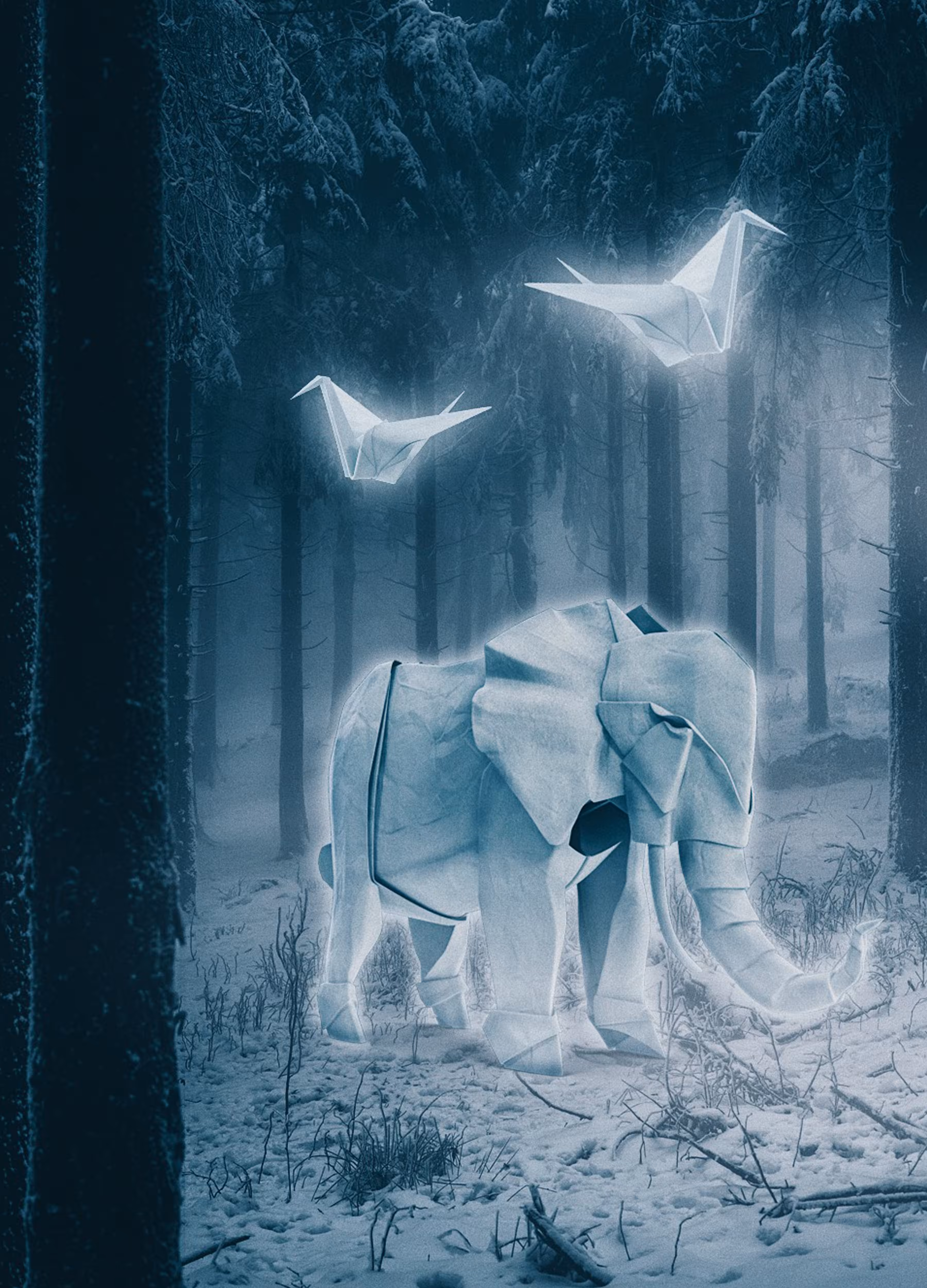 Magical Forest