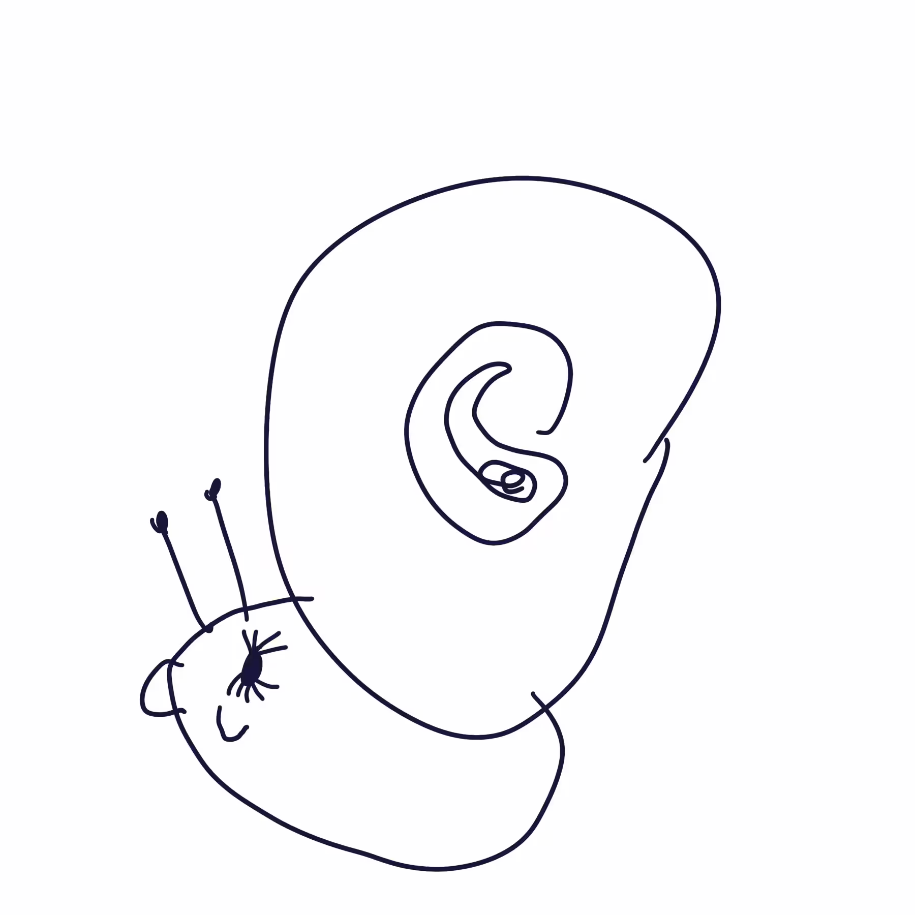 swirly snail