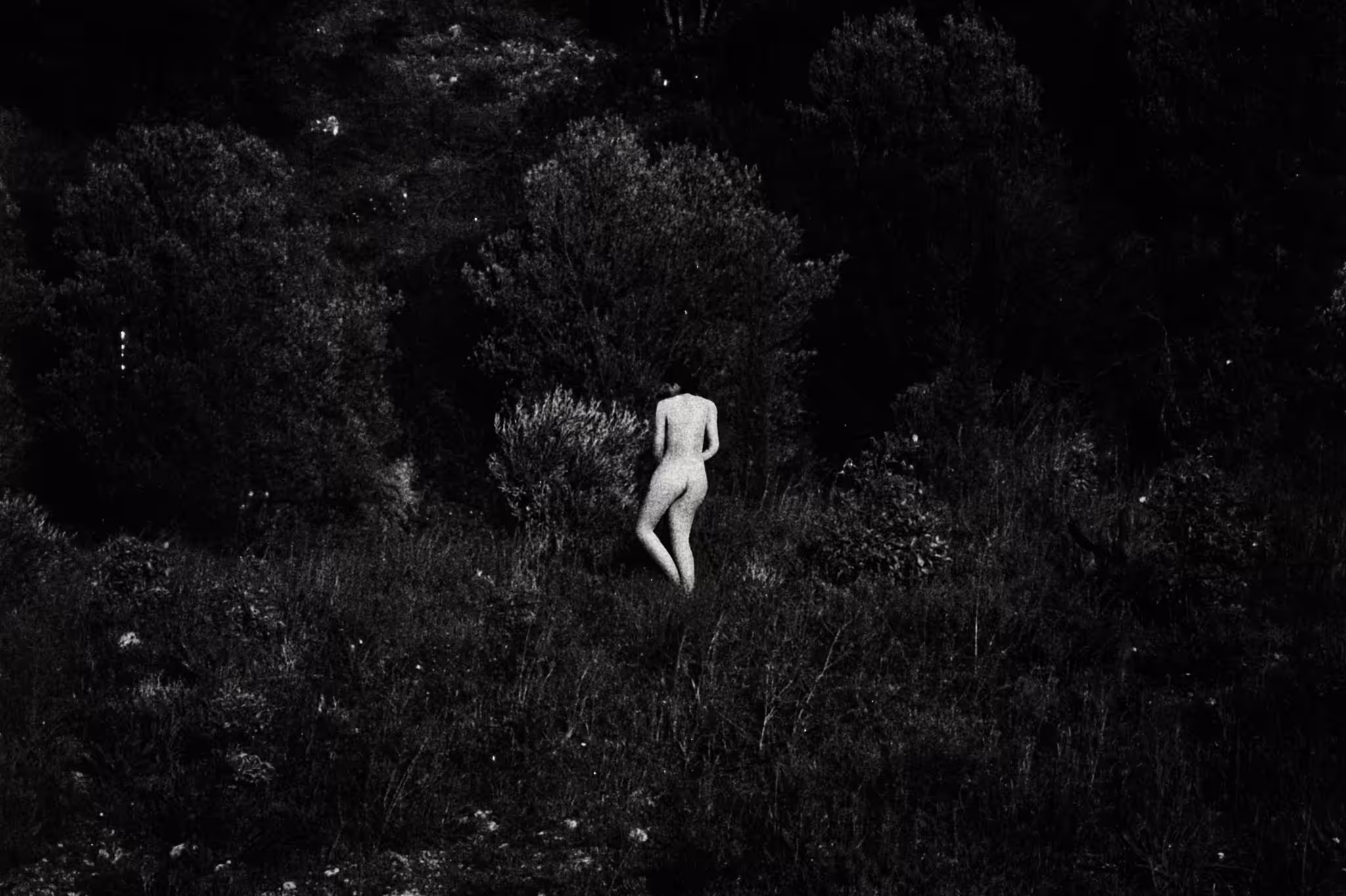 Diary of Pain:Ohitorisama