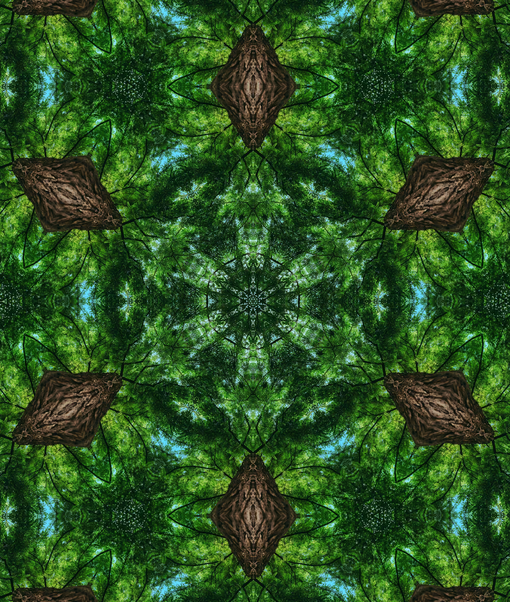 Kaleidoscope