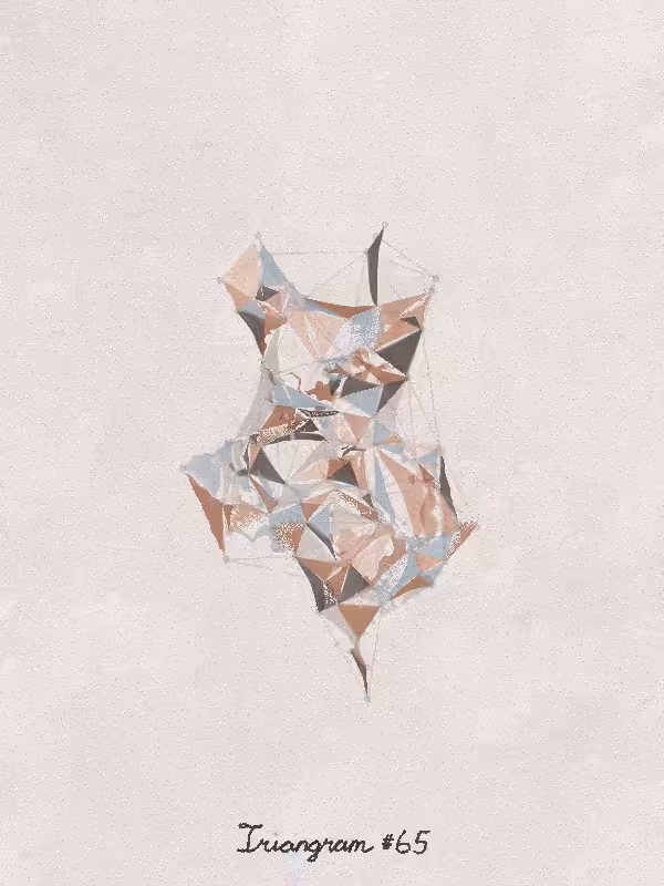 Triangram #65