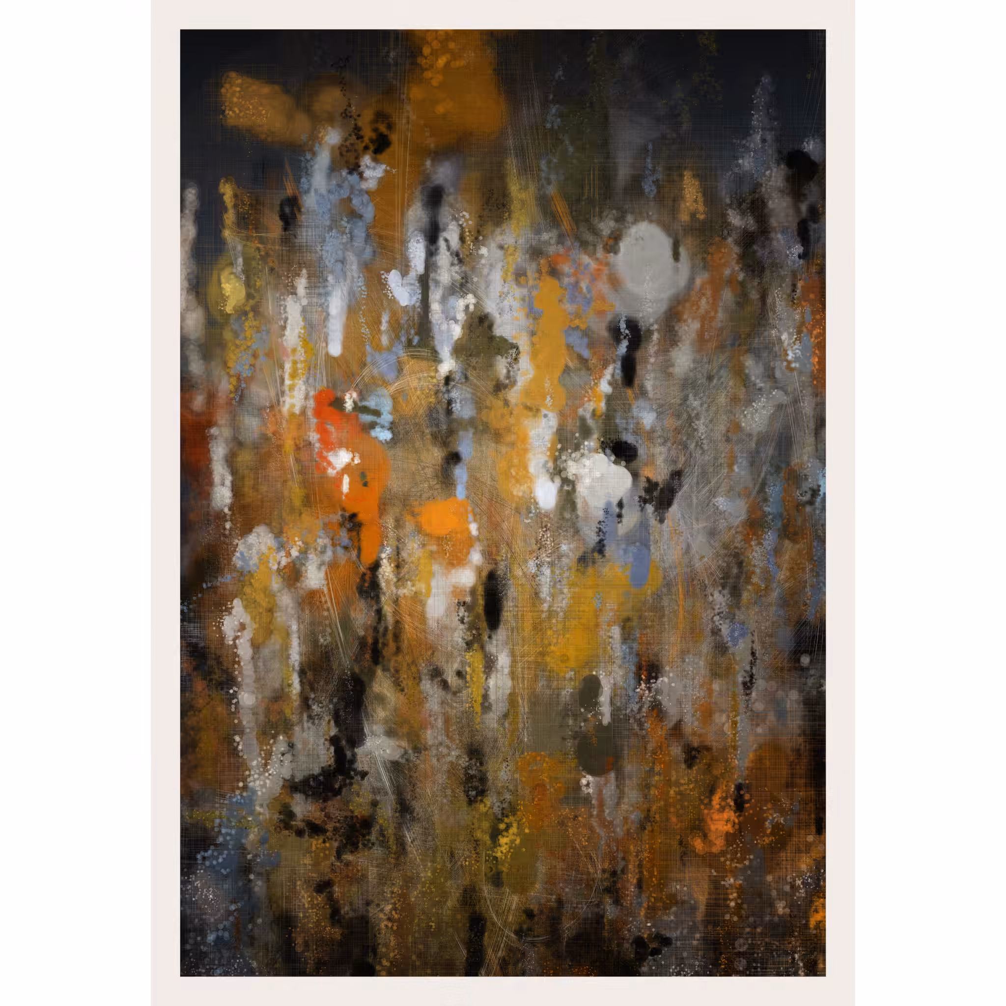 Calypso #37