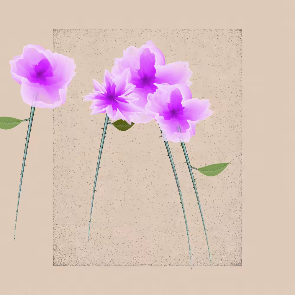 Magnolia #92