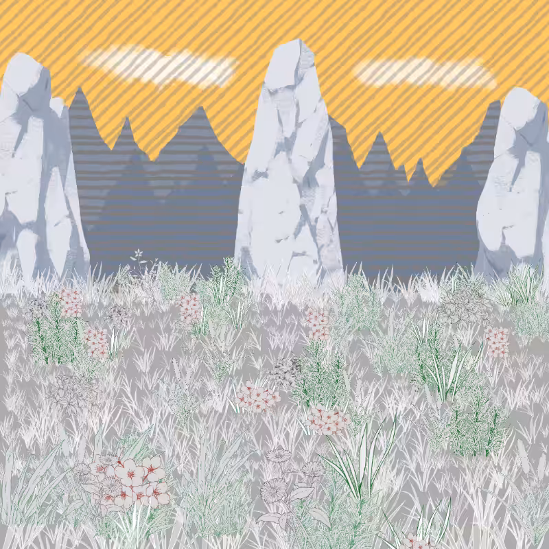 Mountain Meadows #47
