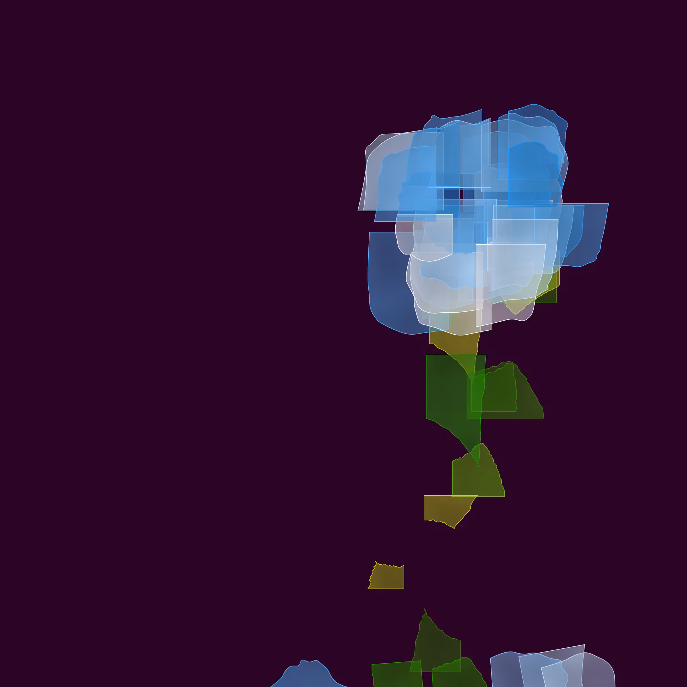Bloom