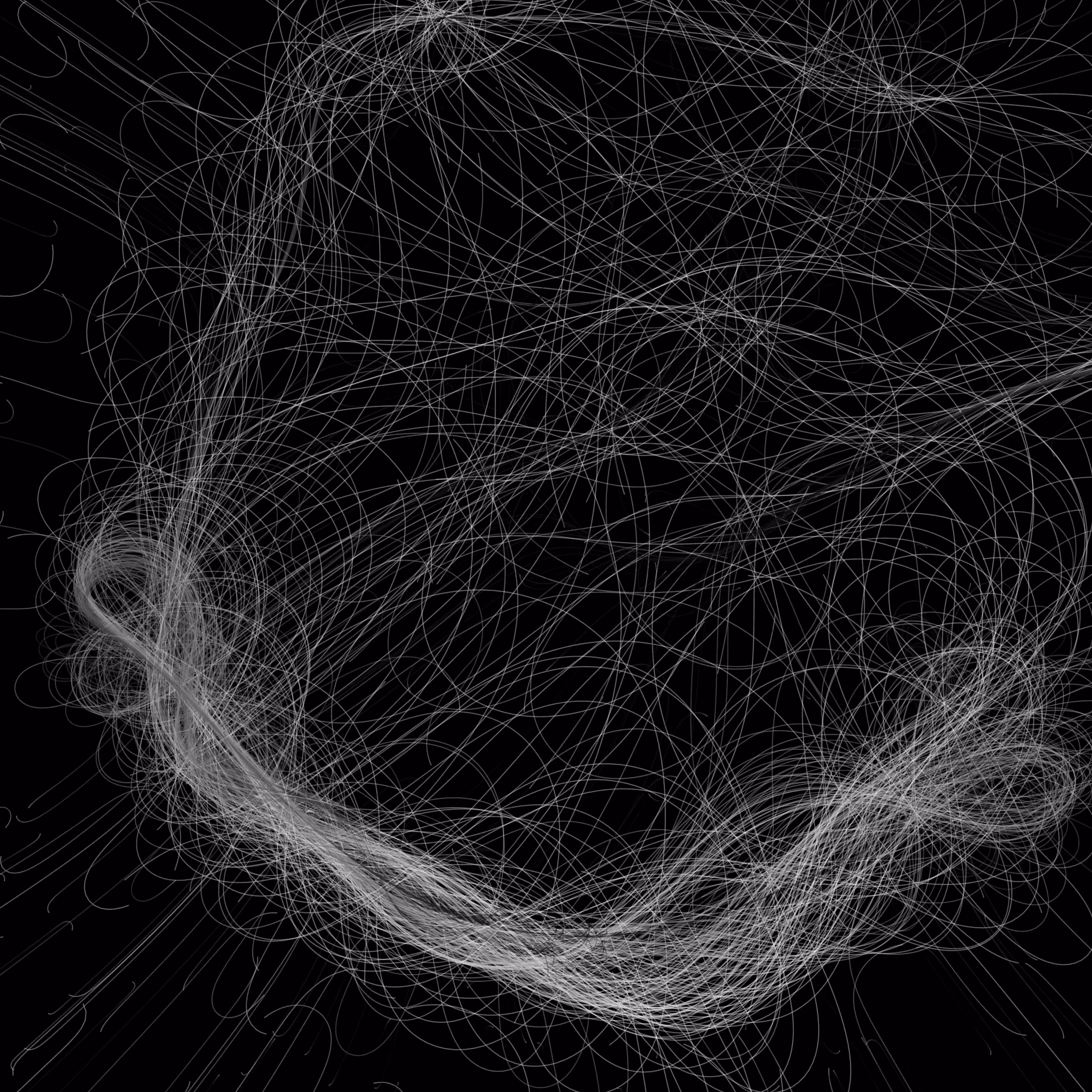 Phototaxis #535