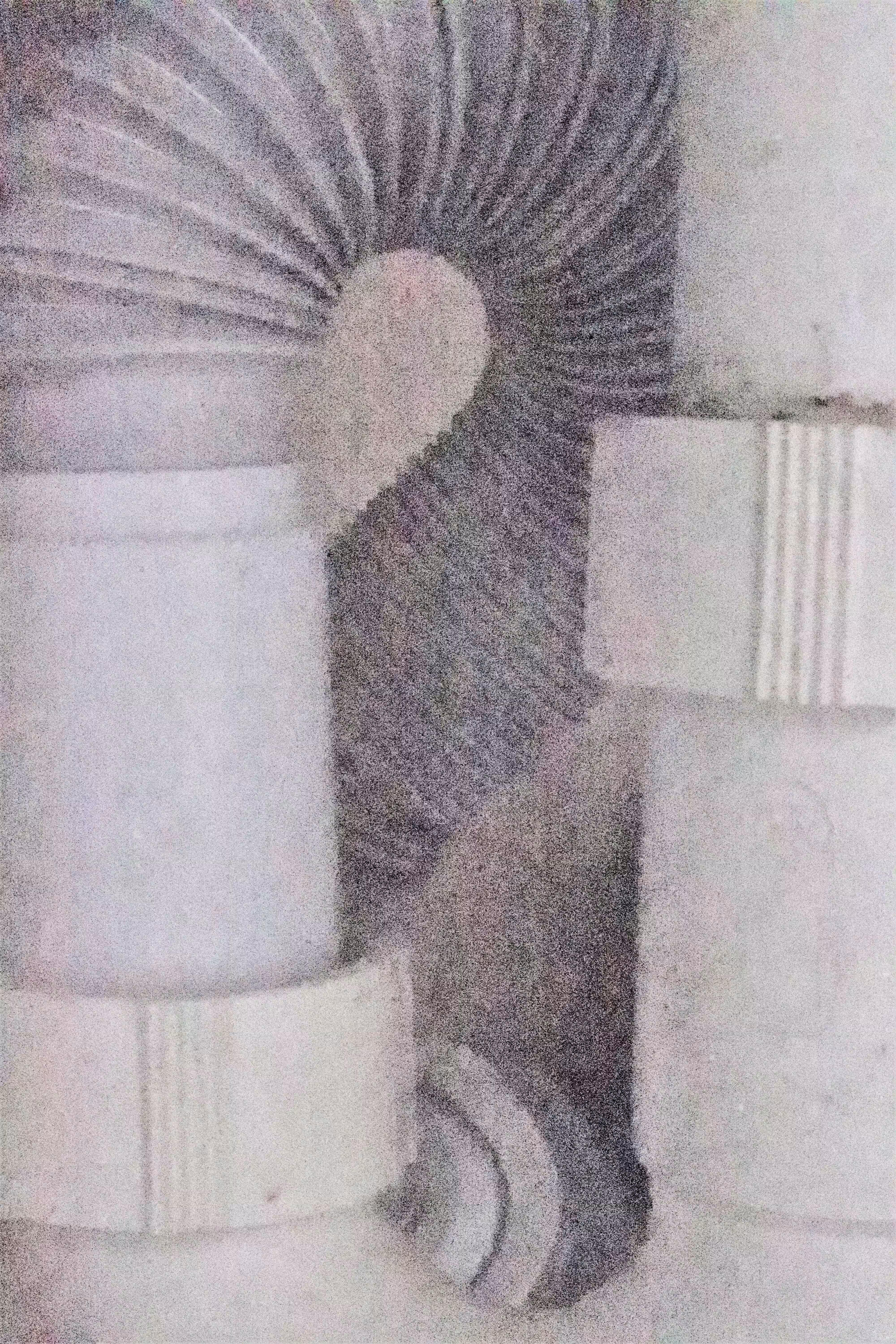 99028377112316582219695639903817