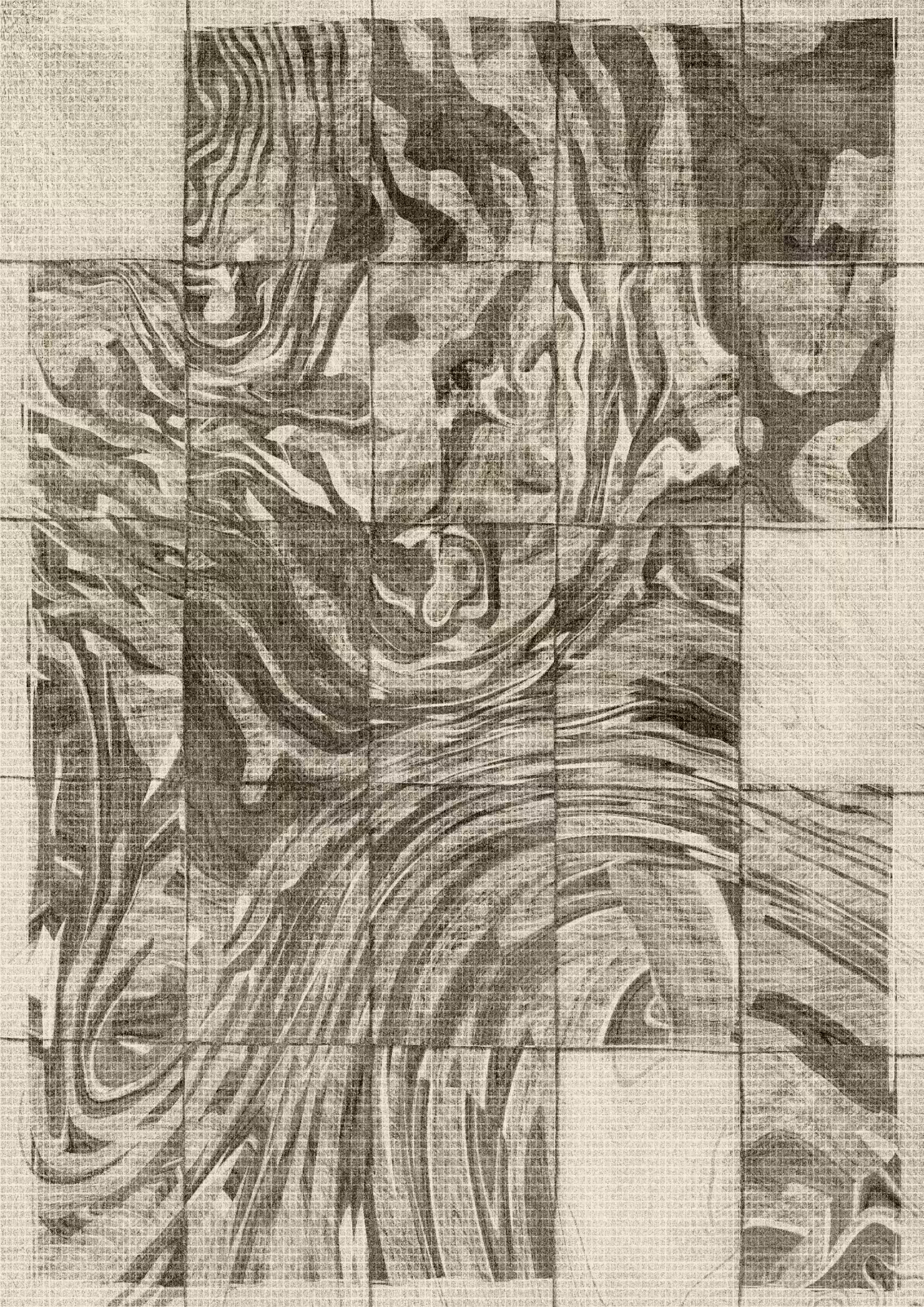Anticyclone #14
