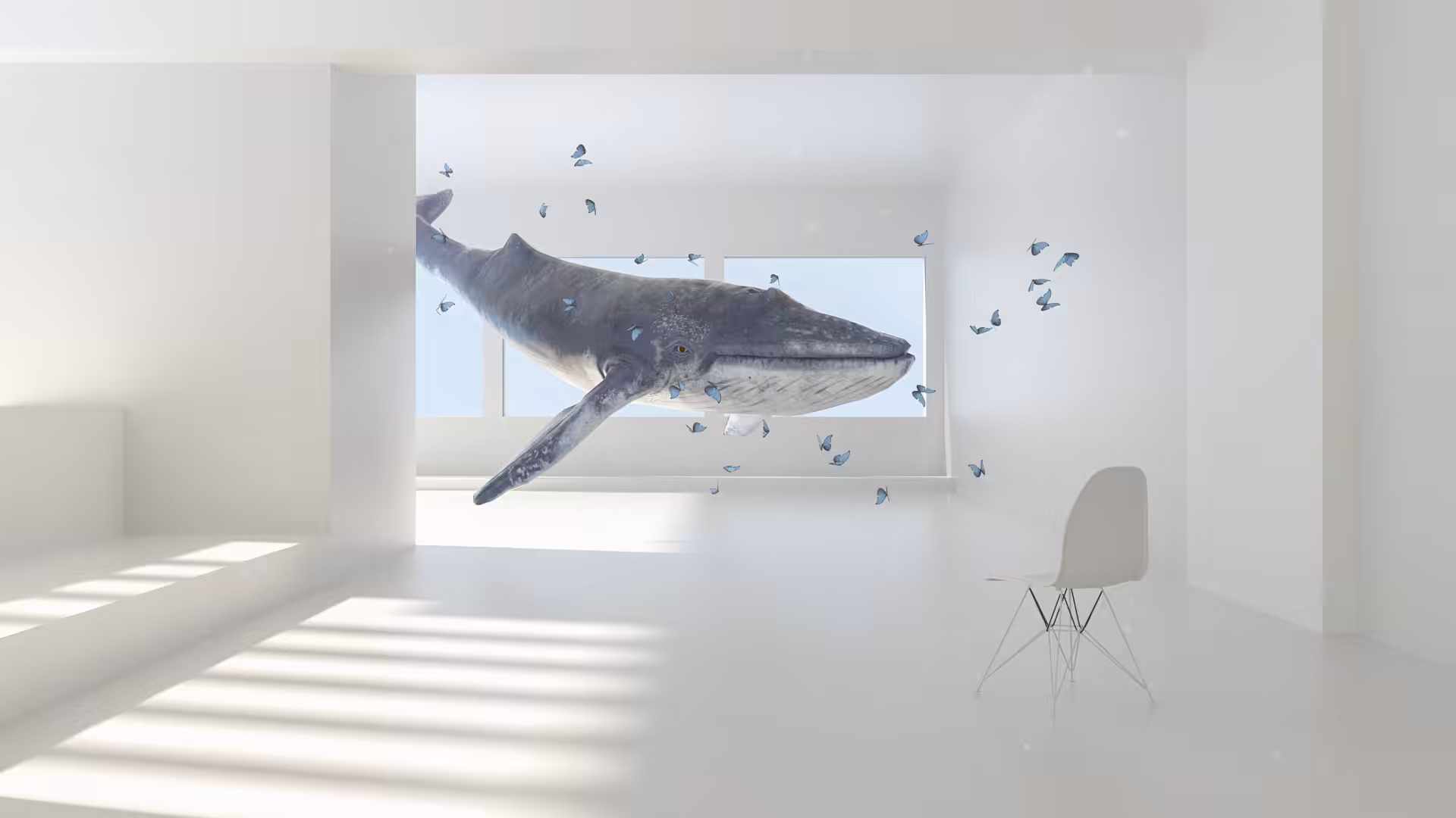 Enjoy The Whale Show