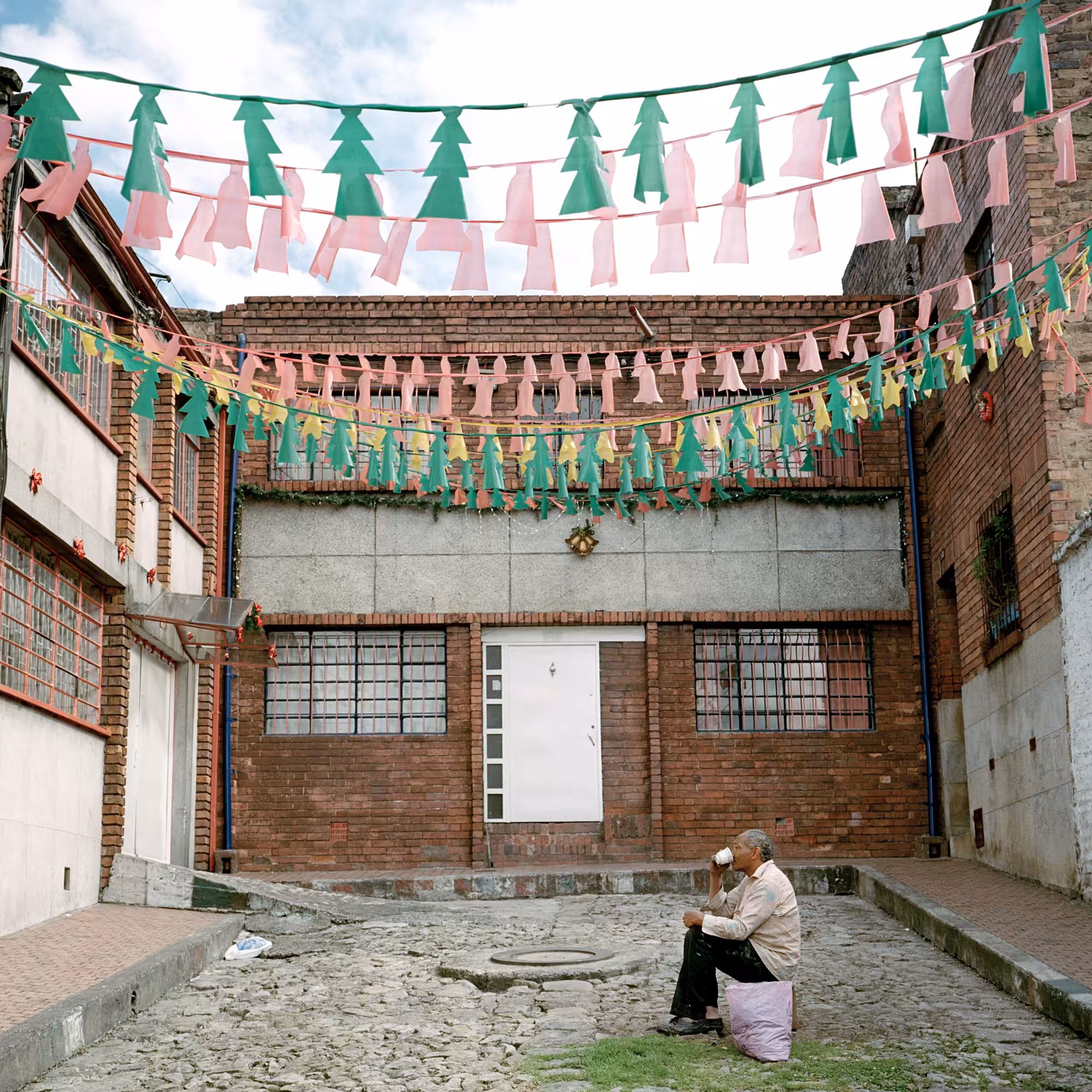 Dog Days, Bogotá #35