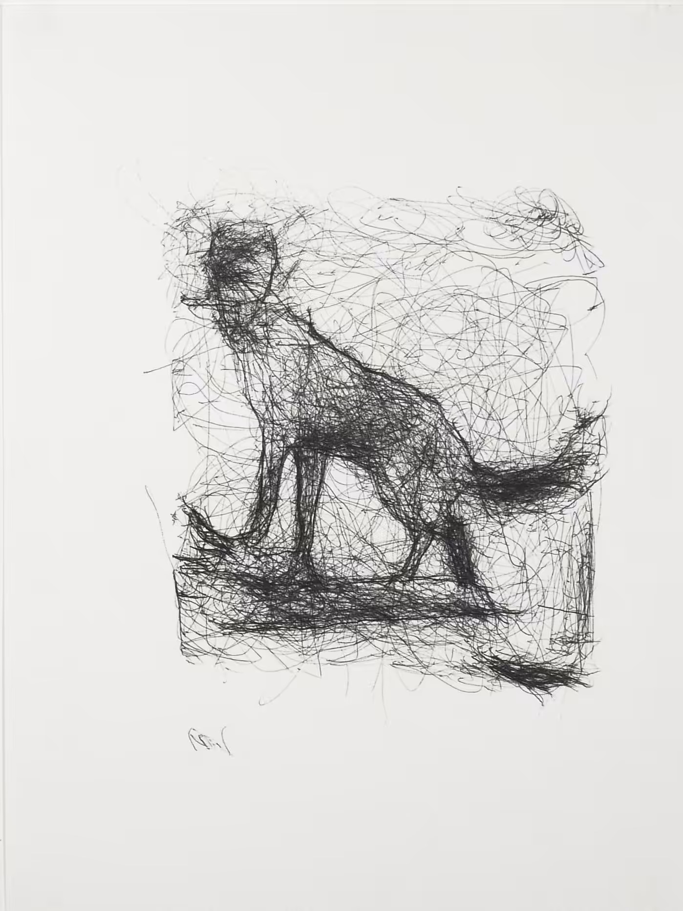 Fox, #5, Foundation Verbeke, 2017