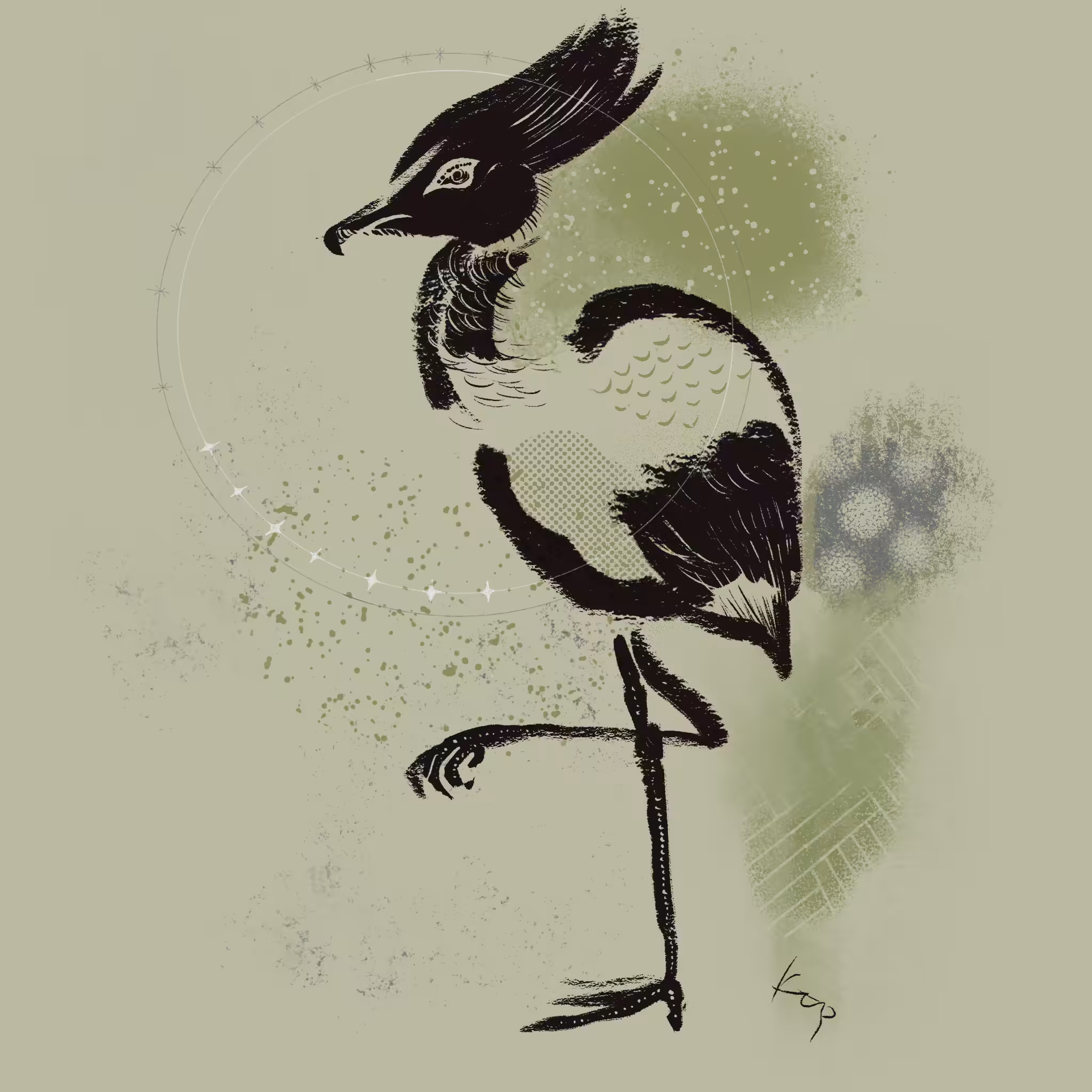 Ardea obscurus