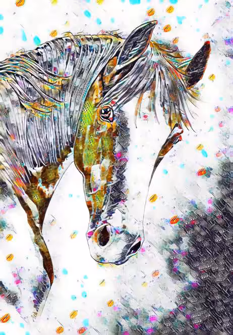 Curious Confetti