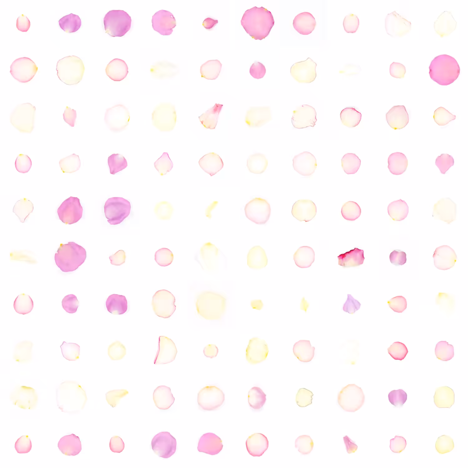 Infinite Petals 10x10#10173